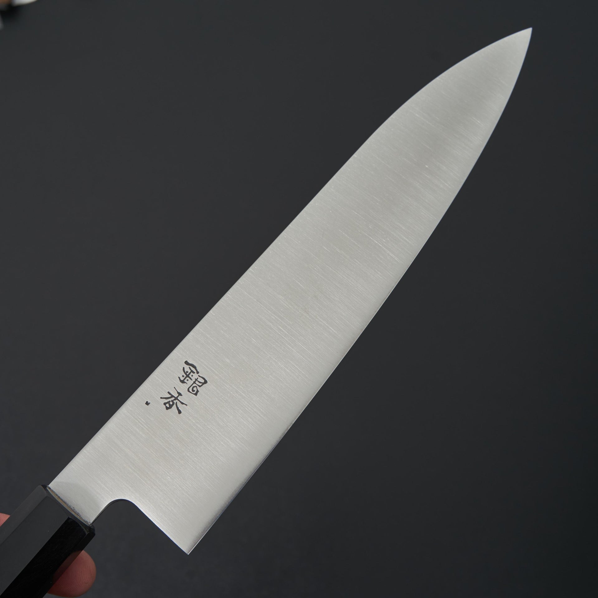 Ashi Ginga Stainless Gyuto 240mm (Extra Height)-Knife-Ashi Hamono-Carbon Knife Co