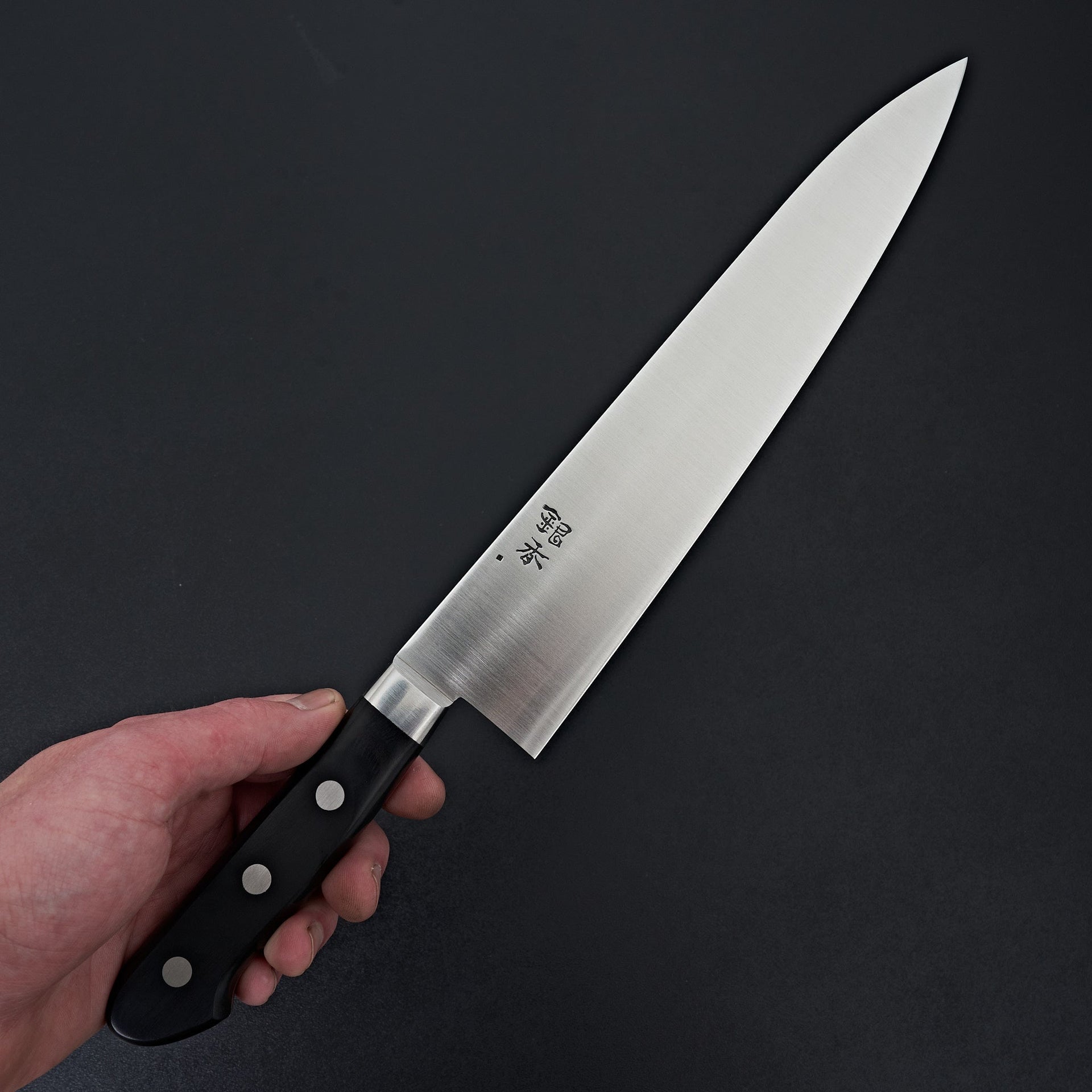 Ashi Ginga Stainless Western Gyuto 240mm-Knife-Ashi Hamono-Carbon Knife Co