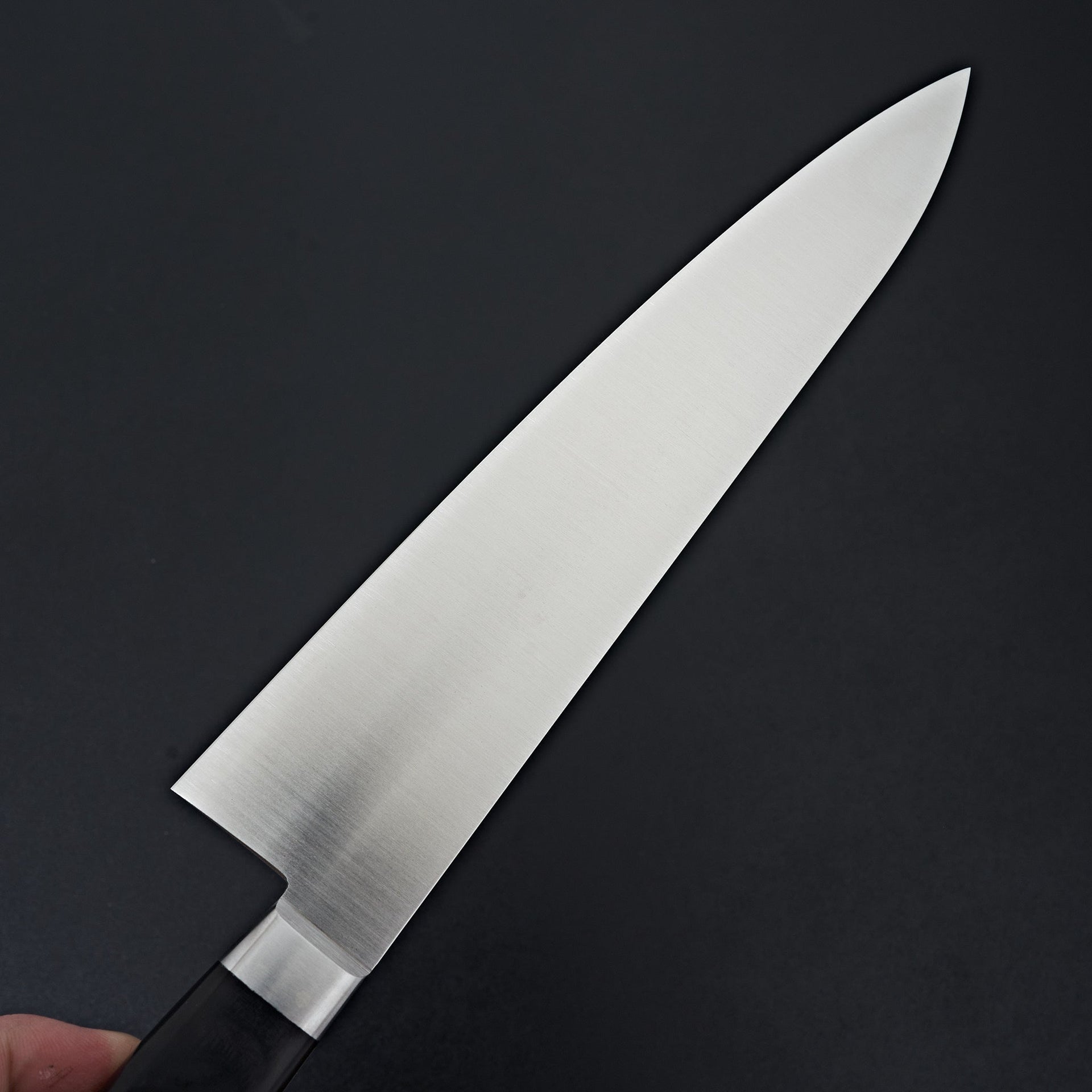 Ashi Ginga Stainless Western Gyuto 240mm-Knife-Ashi Hamono-Carbon Knife Co