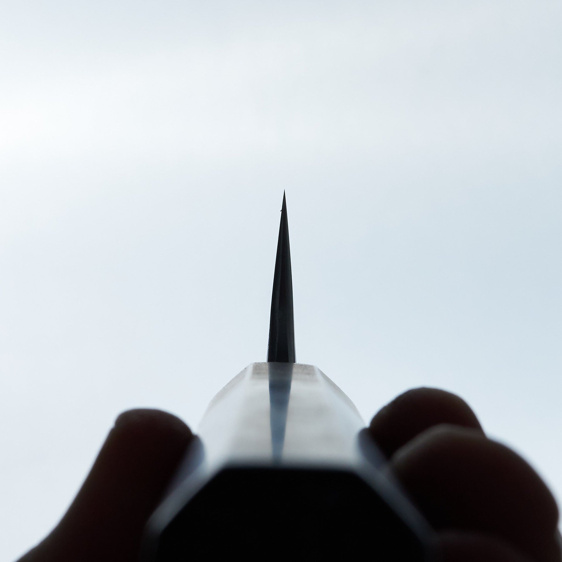 Carter Cutlery 12.52" Muteki Signature #5619 Takohiki by Taylor-Knife-Carter Cutlery-Carbon Knife Co