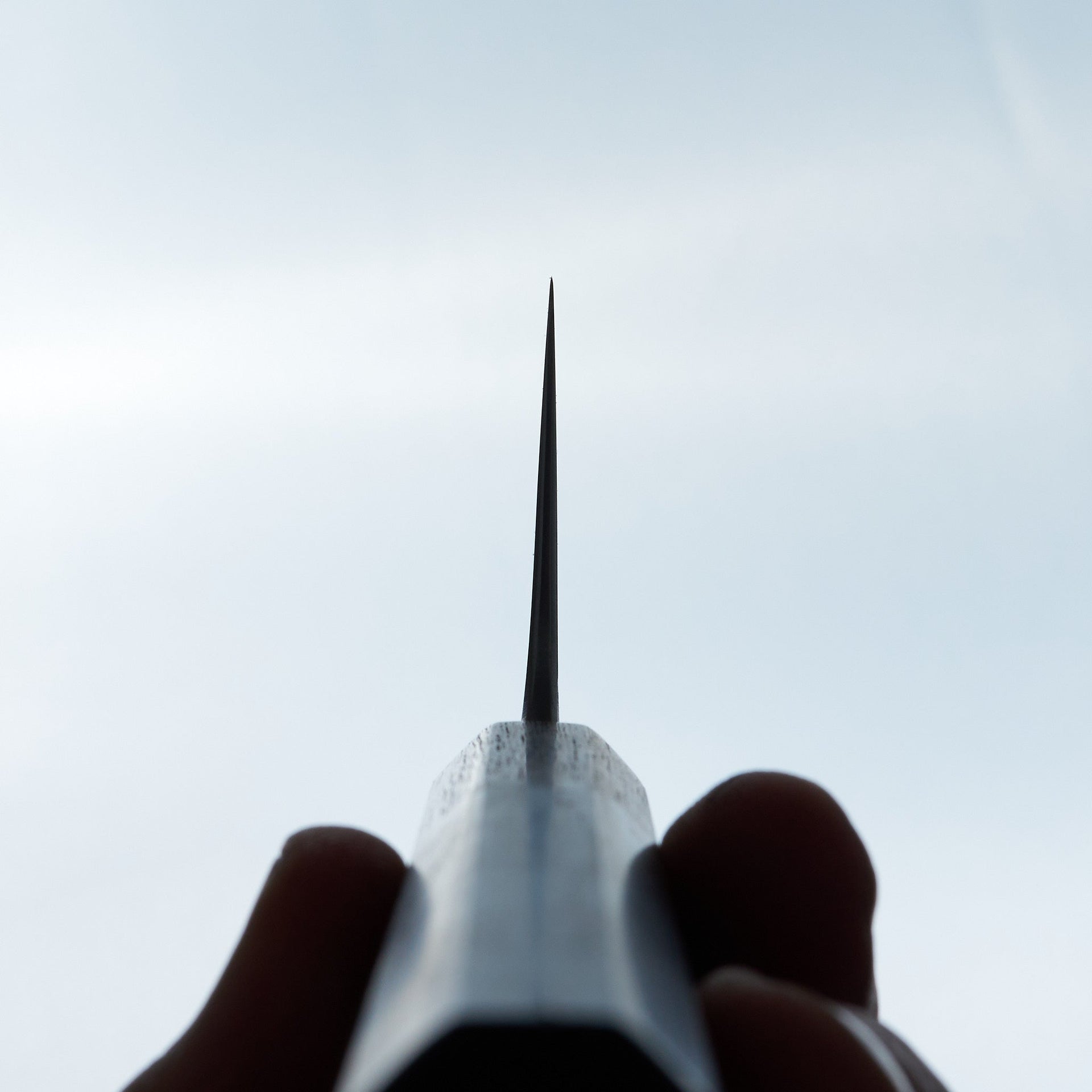 Carter Cutlery 5.83" Muteki #5601 Kiritsuke by Taylor-Knife-Carter Cutlery-Carbon Knife Co