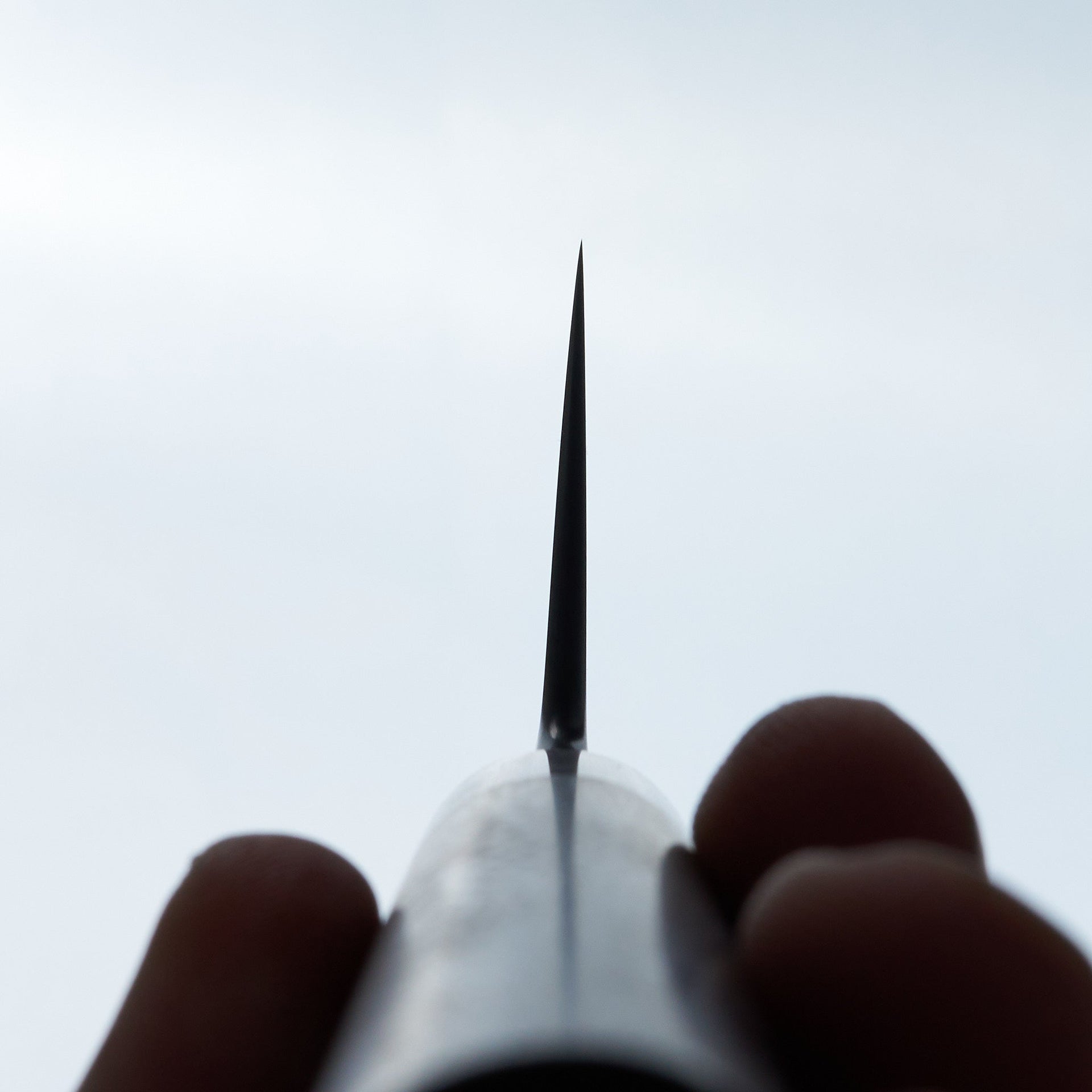 Halcyon Forge 26c3 Honyaki Petty 185mm Missouri Sycamore-Knife-Halcyon Forge-Carbon Knife Co