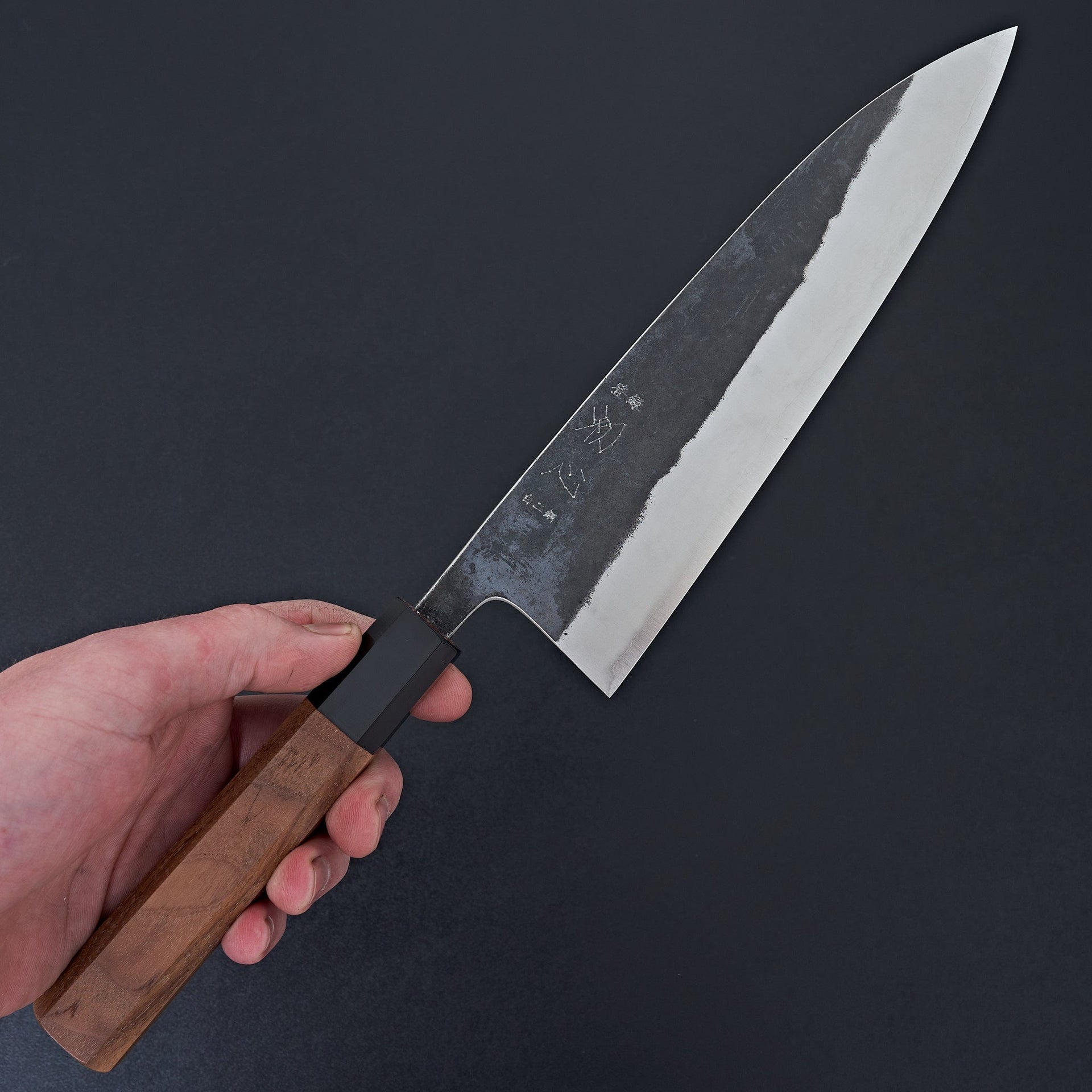 Hatsukokoro Kurokaze White #2 Tall Gyuto 210mm-Knife-Hatsukokoro-Carbon Knife Co