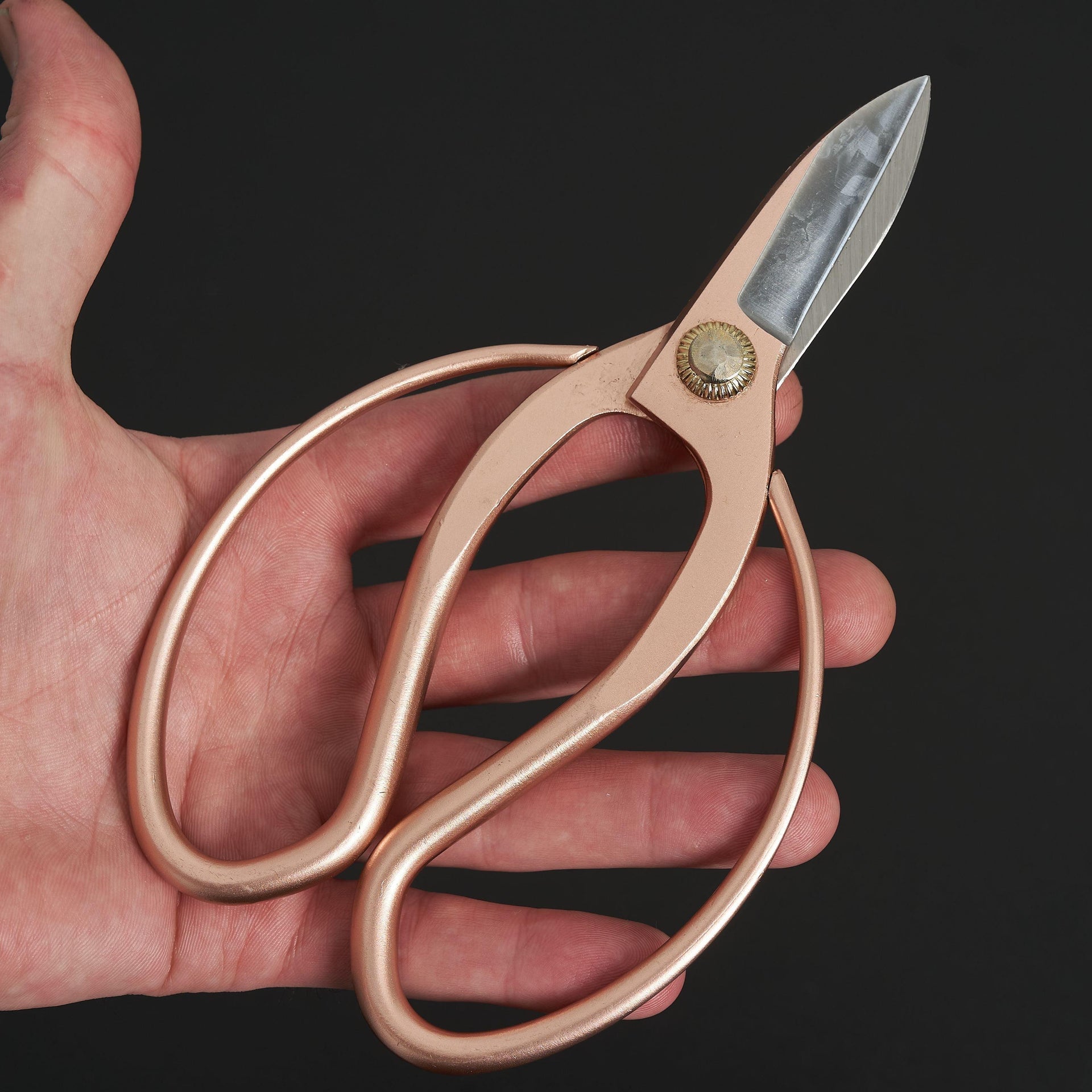 Hidehisa Flower Shears Sakura Gold 165mm-Accessories-Toyama Hamono-Carbon Knife Co
