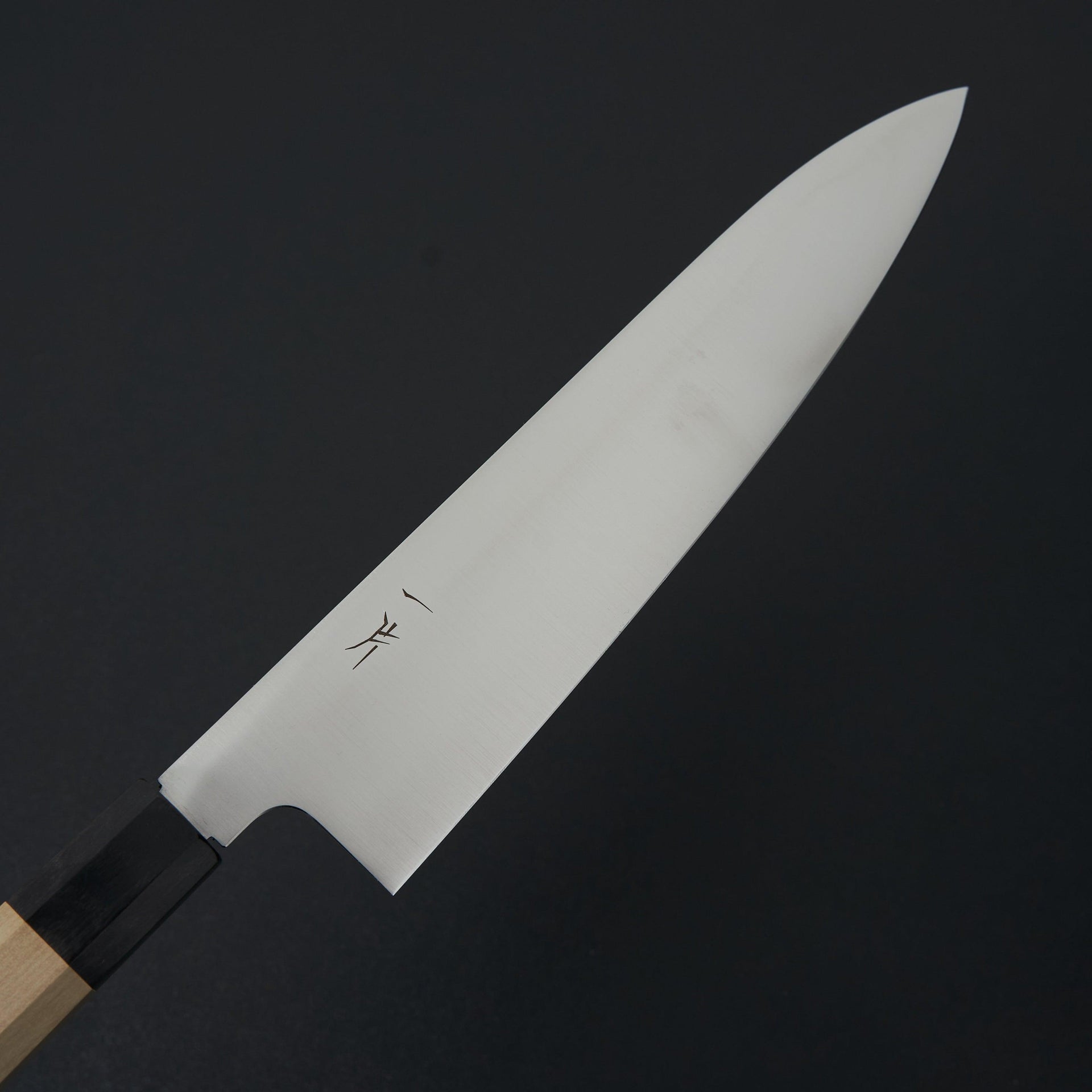 Hitohira FJ VG-10 Gyuto 240mm Ho Wood Handle (Wa)-Knife-Hitohira-Carbon Knife Co