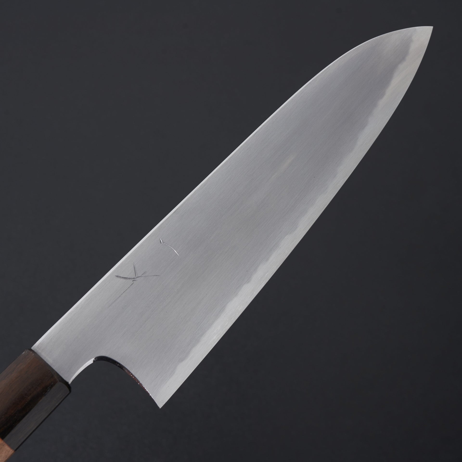 Hitohira Gorobei Rikichi Blue #2 Kasumi Gyuto 210mm Cherry Wood Handle-Knife-Hitohira-Carbon Knife Co