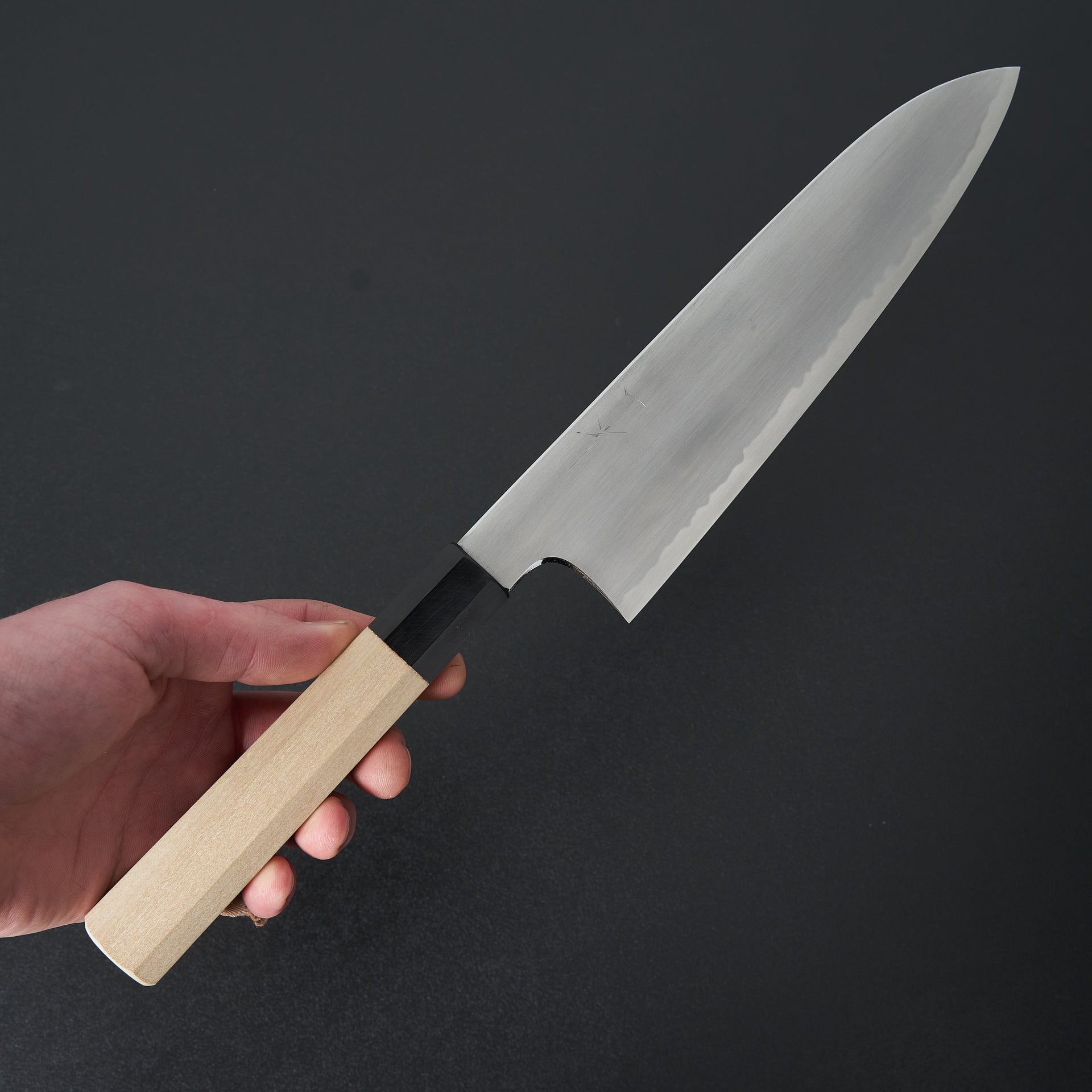 Hitohira Gorobei Rikichi Blue #2 Kasumi Gyuto 210mm Ho Wood Handle-Knife-Hitohira-Carbon Knife Co