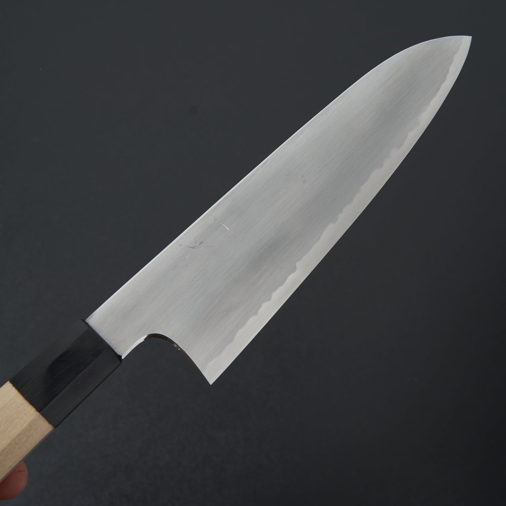 Hitohira Gorobei Rikichi Blue #2 Kasumi Gyuto 210mm Ho Wood Handle-Knife-Hitohira-Carbon Knife Co