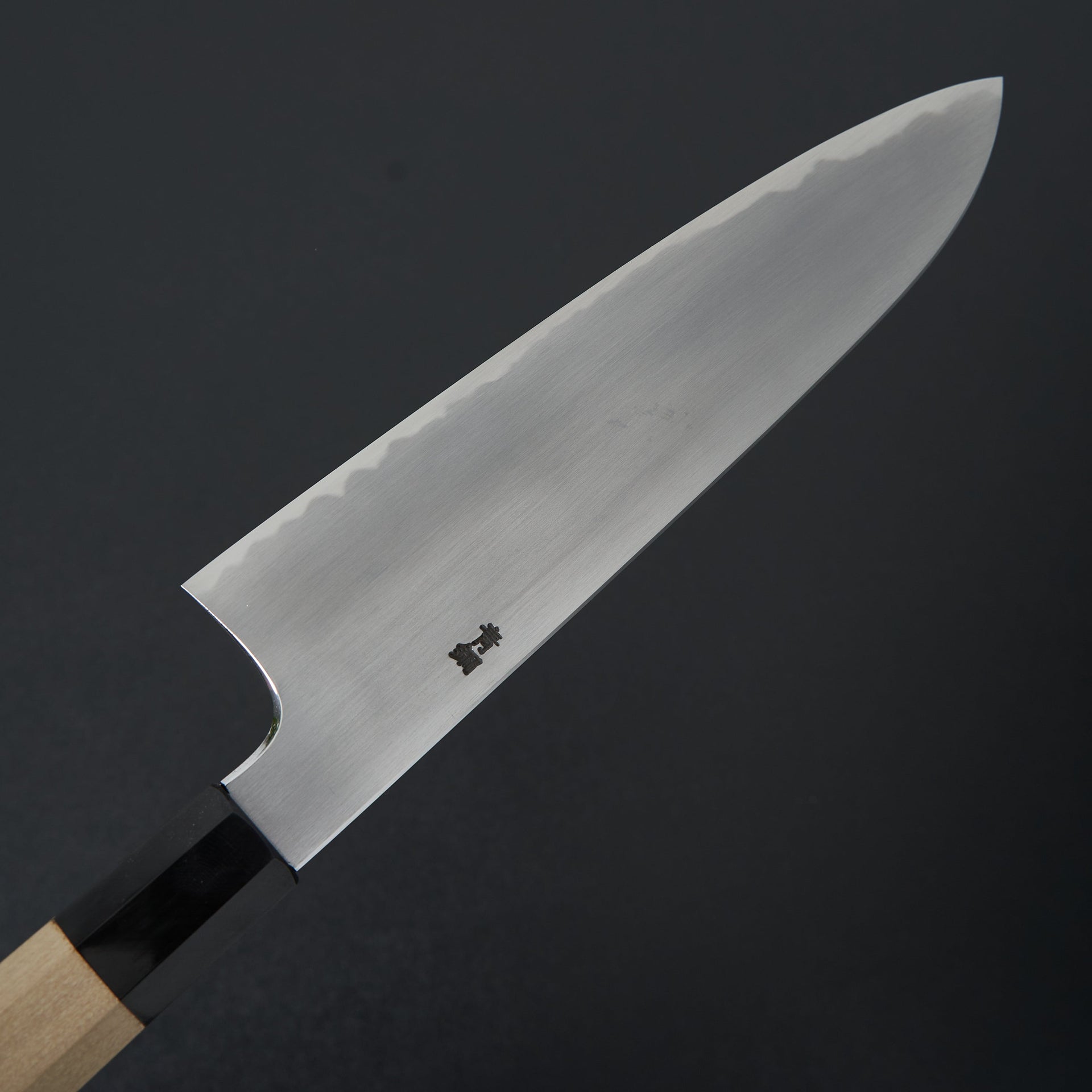 Hitohira Gorobei Rikichi Blue #2 Kasumi Gyuto 210mm Ho Wood Handle-Knife-Hitohira-Carbon Knife Co