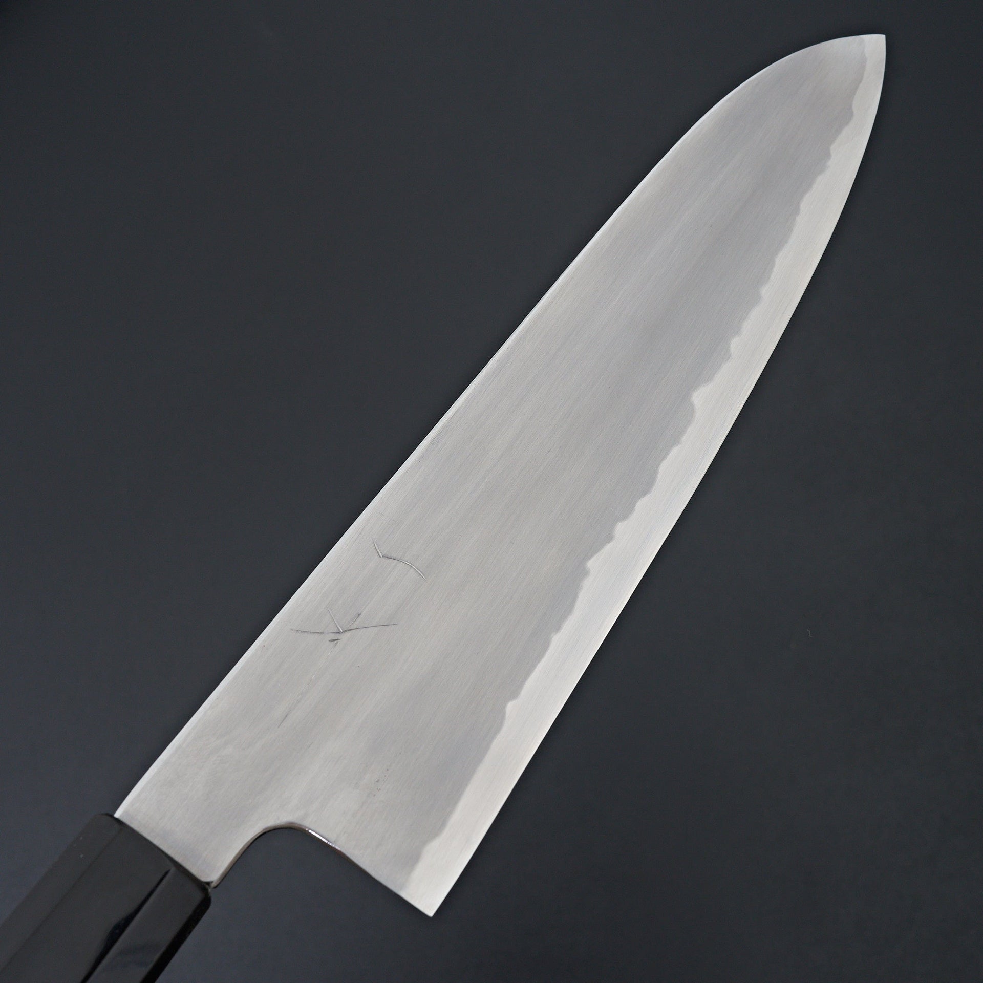 Hitohira Gorobei Rikichi Blue #2 Kasumi Gyuto 240mm Ho Wood Handle-Knife-Hitohira-Carbon Knife Co