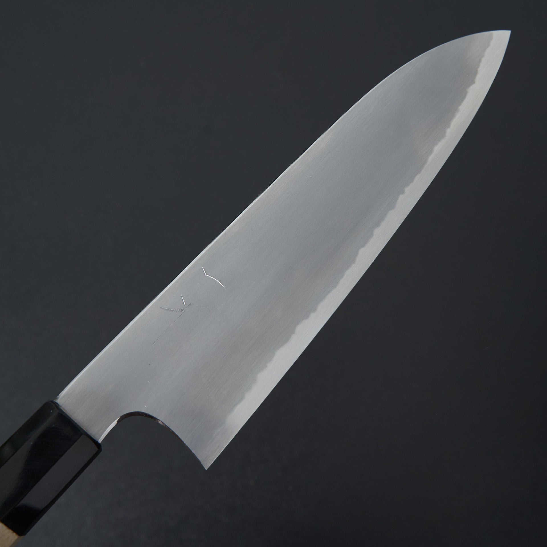 Hitohira Gorobei Rikichi White #2 Kasumi Gyuto 210mm Ho Wood Handle-Knife-Hitohira-Carbon Knife Co