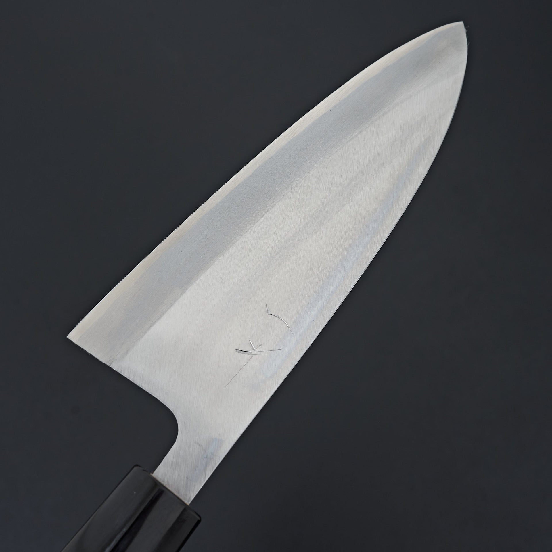Hitohira Gorobei White #3 Left-Handed Deba 165mm Ho Wood Handle (D-Shape)-Knife-Hitohira-Carbon Knife Co