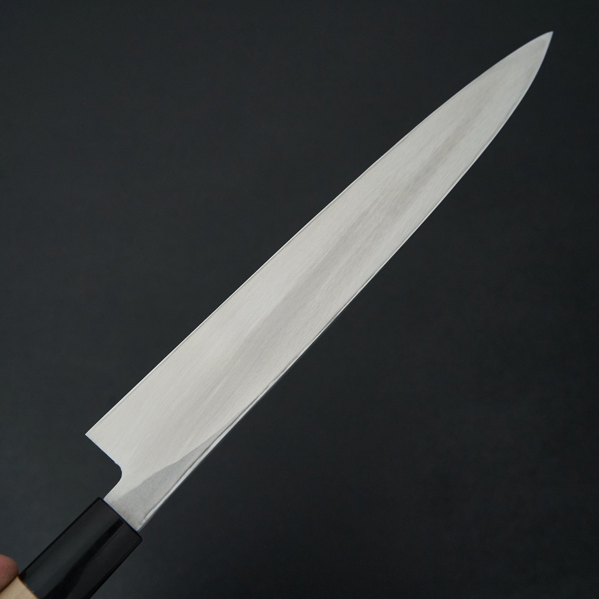 Hitohira Gorobei White #3 Yanagiba 240mm Ho Wood Handle-Knife-Hitohira-Carbon Knife Co