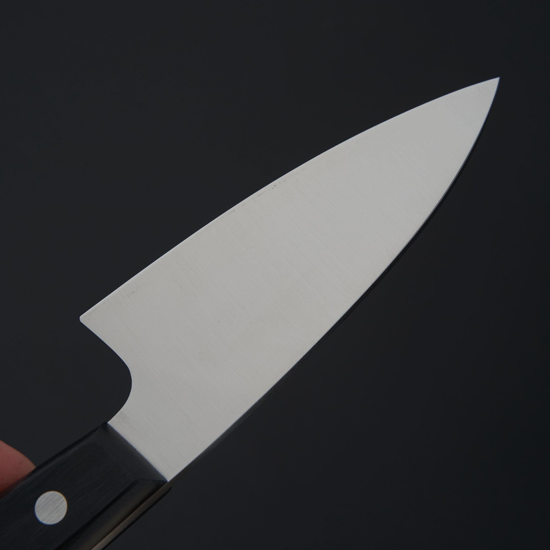 Hitohira Hiragana Deba 120mm Pakka Handle (No Bolster)-Knife-Hitohira-Carbon Knife Co