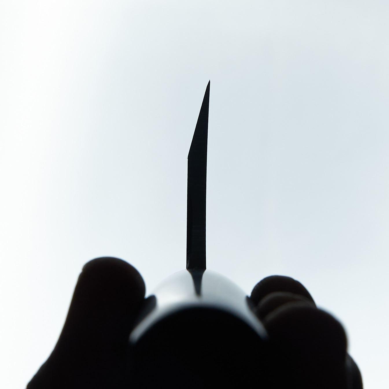 Hitohira Hiragana Deba 210mm Pakka Handle (No Bolster)-Knife-Hitohira-Carbon Knife Co