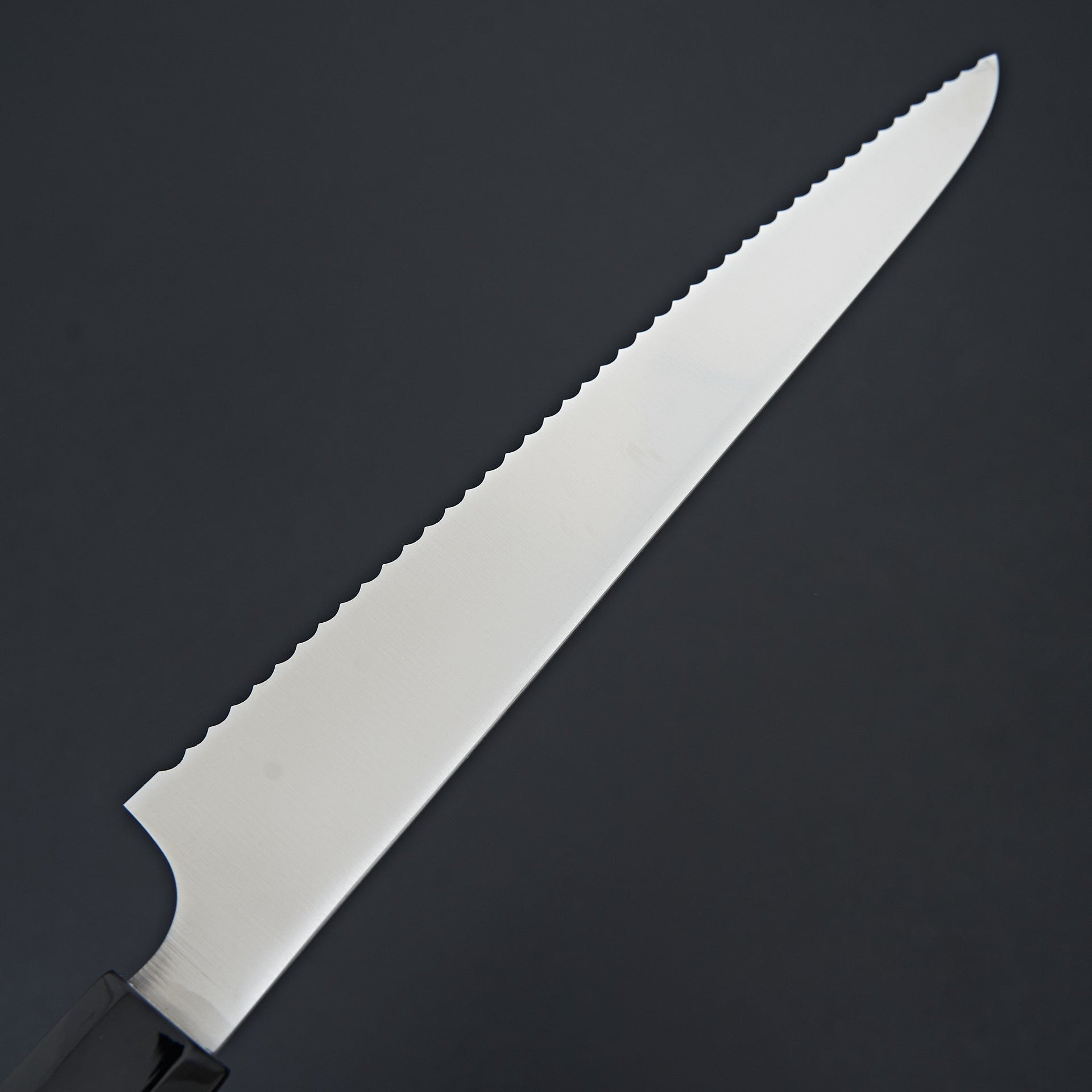 Hitohira Imojiya TH Stainless Bread Knife 240mm Ho Wood Handle (Wa)-Knife-Hitohira-Carbon Knife Co