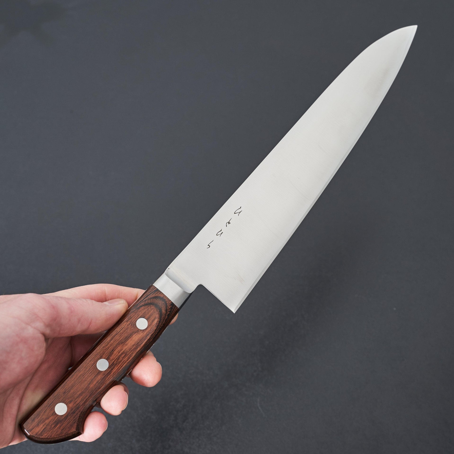 Hitohira KH Western Stainless Gyuto 240mm-Knife-Hitohira-Carbon Knife Co
