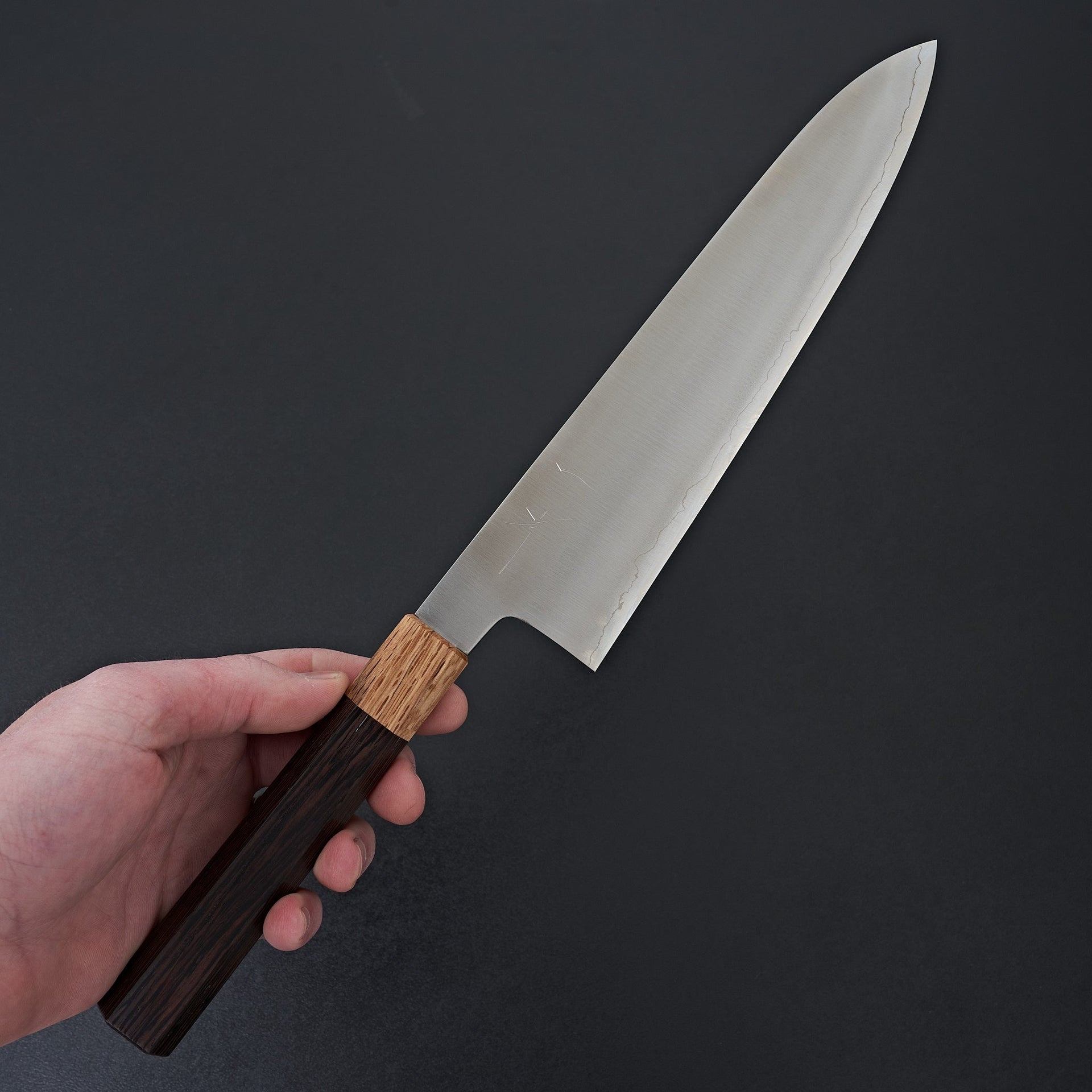 Hitohira Kikuchiyo Gosaku Silver #3 Gyuto 240mm-Knife-Hitohira-Carbon Knife Co
