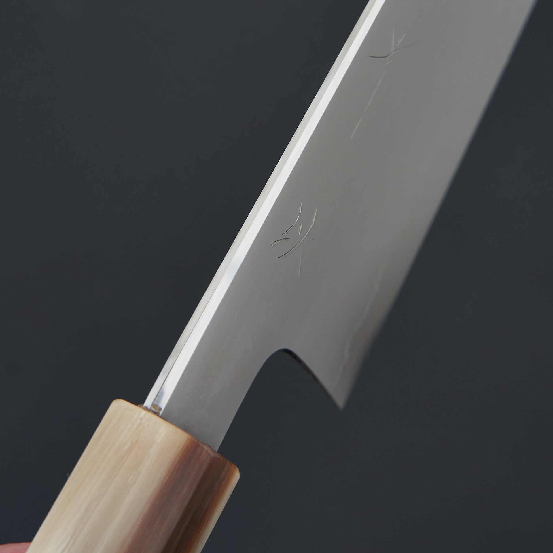 Hitohira Kikuchiyo Izo Silver #3 Gyuto 240mm Yakusugi Cedar Handle-Knife-Hitohira-Carbon Knife Co