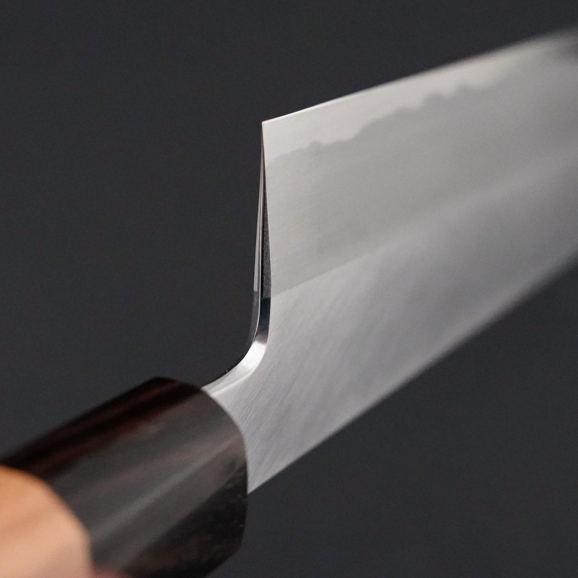 Hitohira Kikuchiyo Kyuzo Migaki White #2 Gyuto 210mm-Knife-Hitohira-Carbon Knife Co