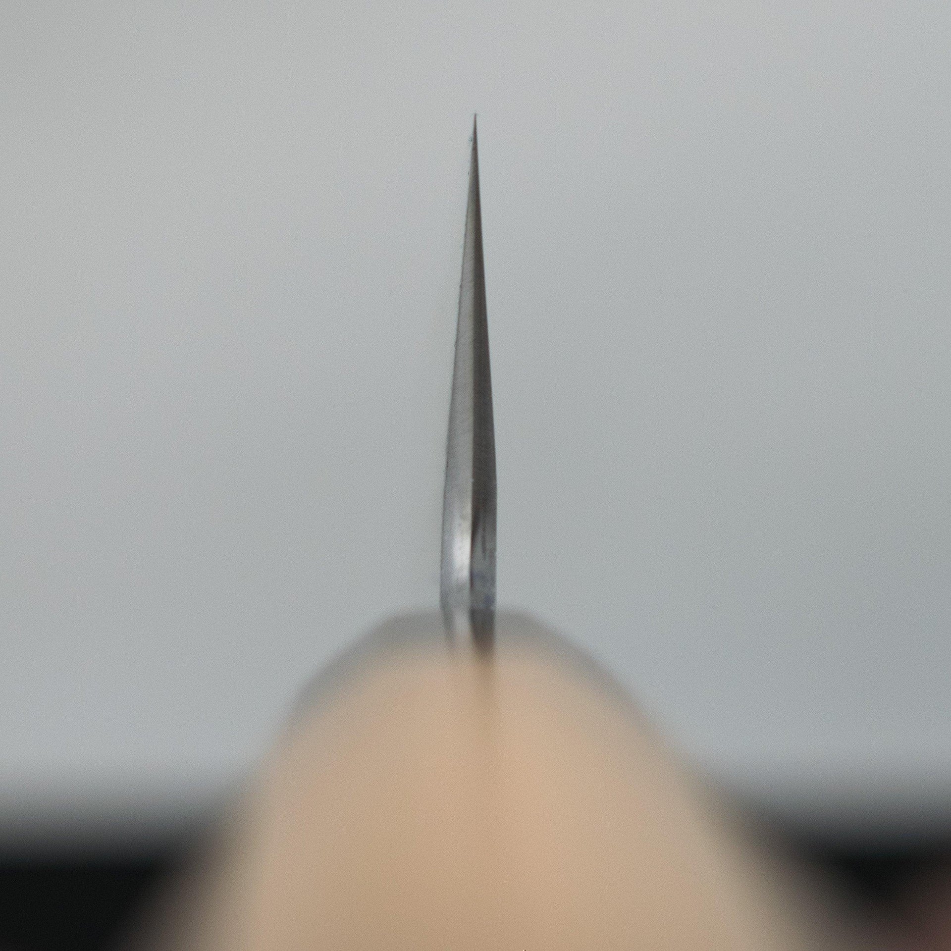 Hitohira Kikuchiyo Kyuzo White #2 Kuro Gyuto 210mm-Knife-Hitohira-Carbon Knife Co