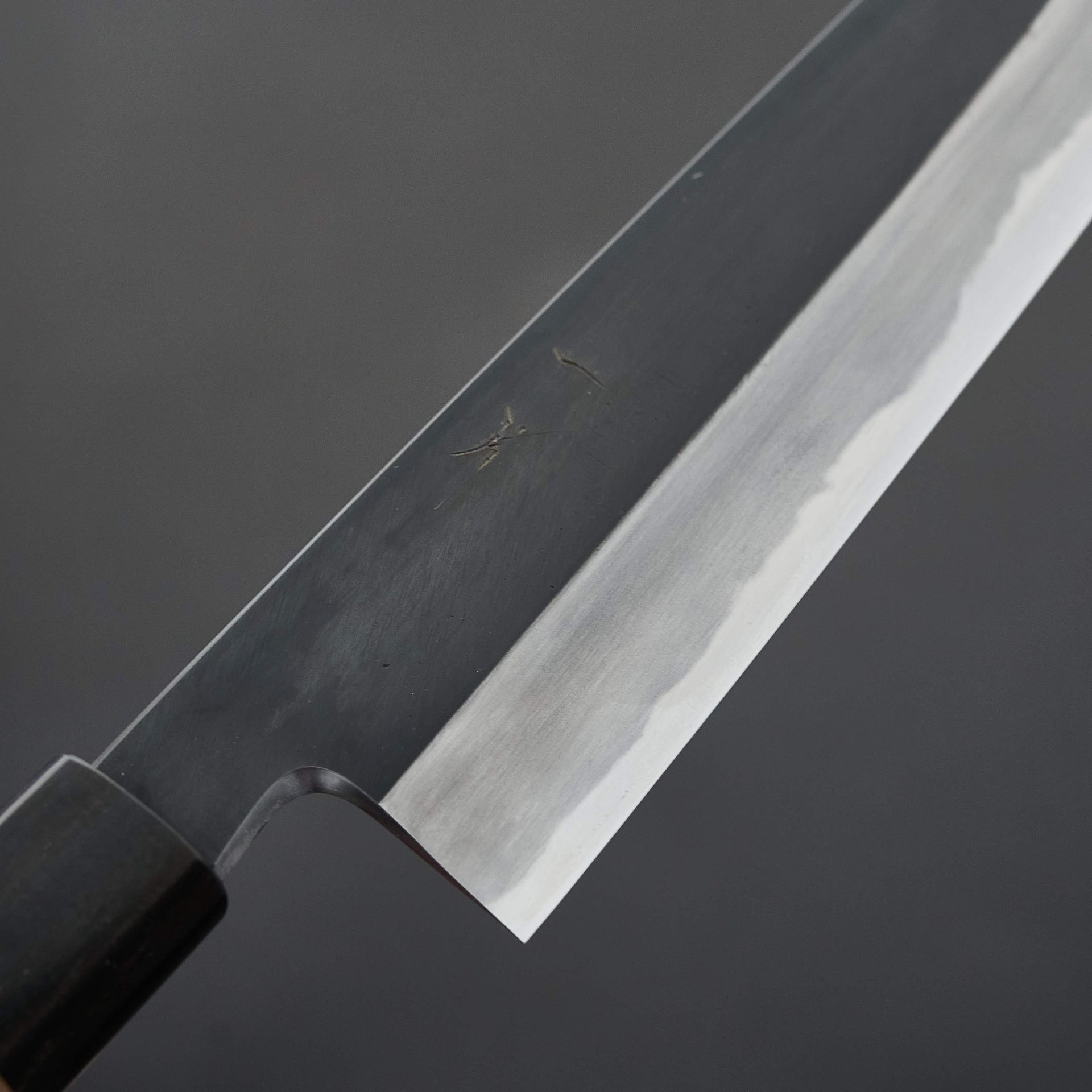 Hitohira Kikuchiyo Kyuzo White #2 Kuro Gyuto 240mm-Knife-Hitohira-Carbon Knife Co