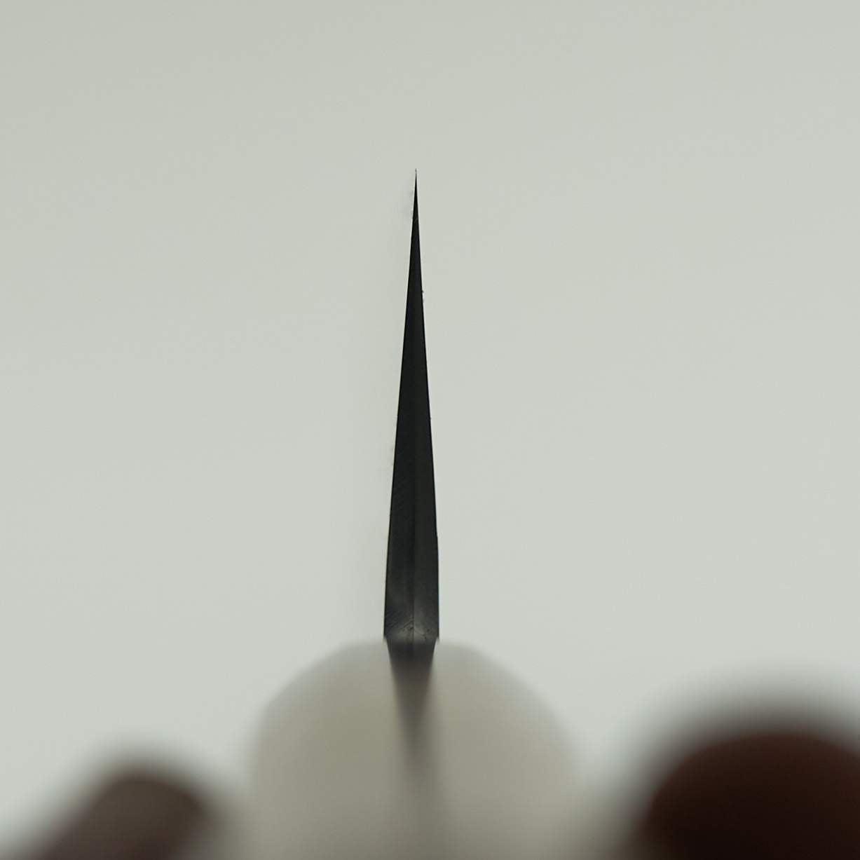 Hitohira Kikuchiyo Kyuzo White #2 Kuro Gyuto 240mm-Knife-Hitohira-Carbon Knife Co