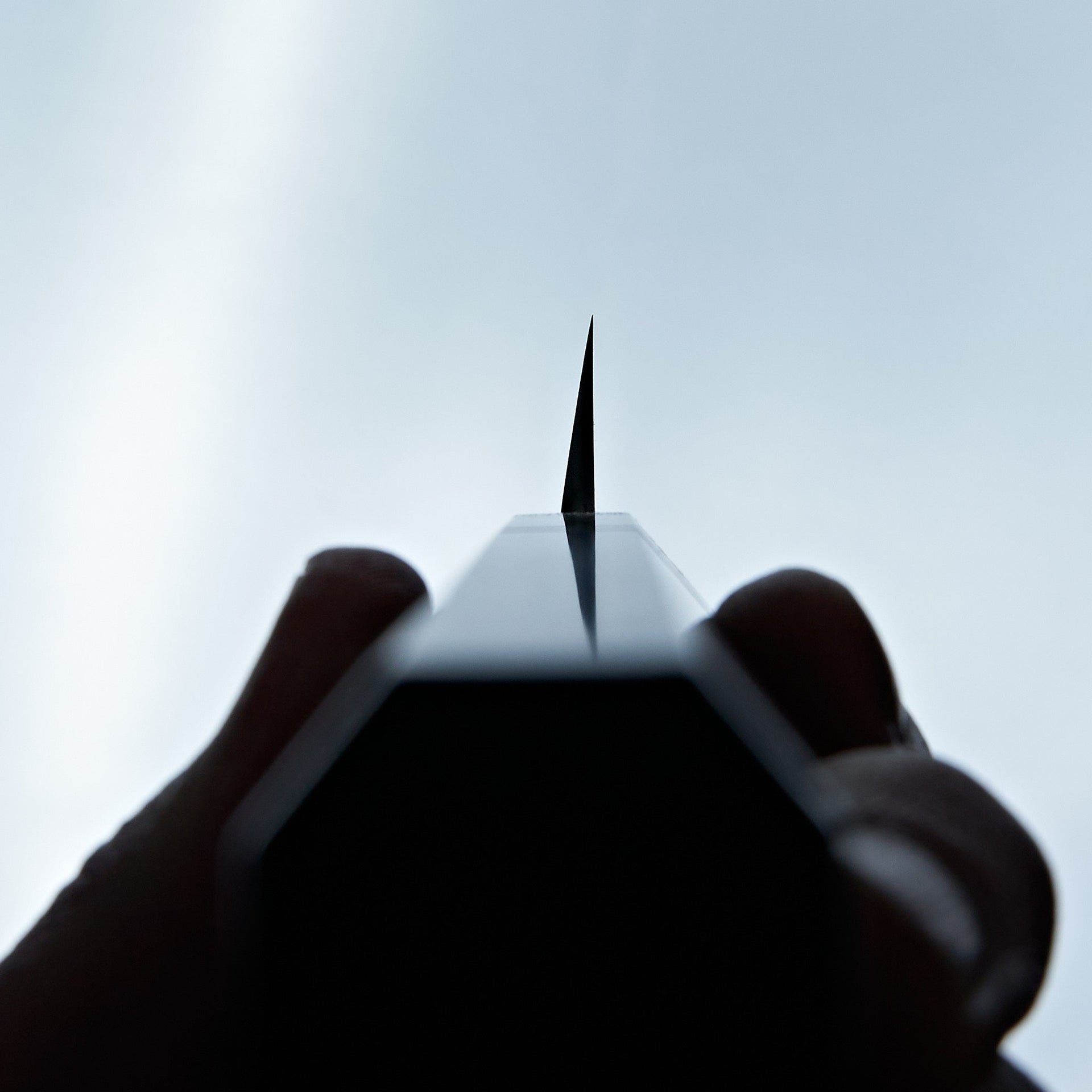 Hitohira Kikuchiyo Manzo Blue #2 Yanagi Sakimaru 300mm Ebony Handle (Saya)-Knife-Hitohira-Carbon Knife Co