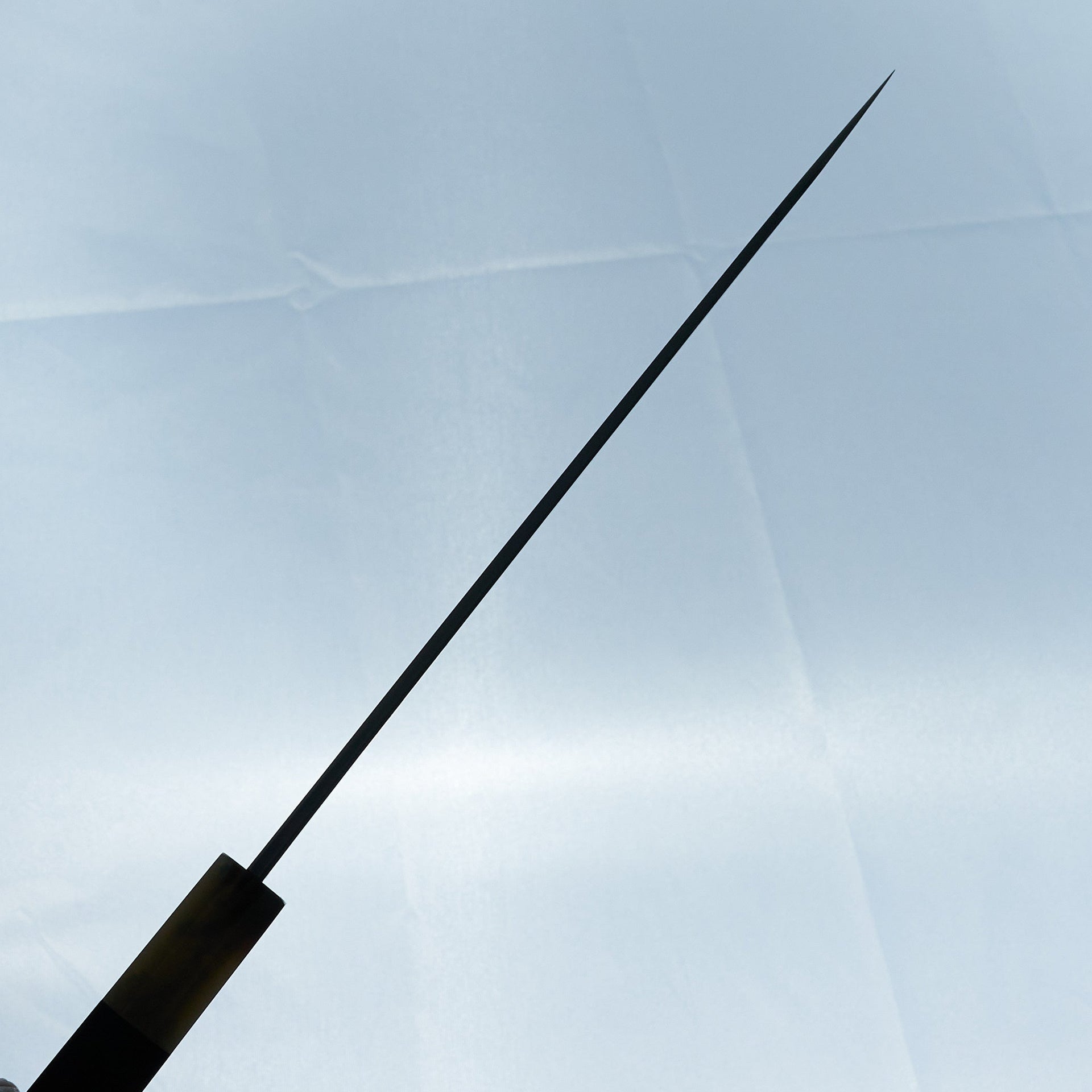 Hitohira Kikuchiyo Manzo Blue #2 Yanagiba 210mm Ebony Handle (Saya)-Knife-Hitohira-Carbon Knife Co