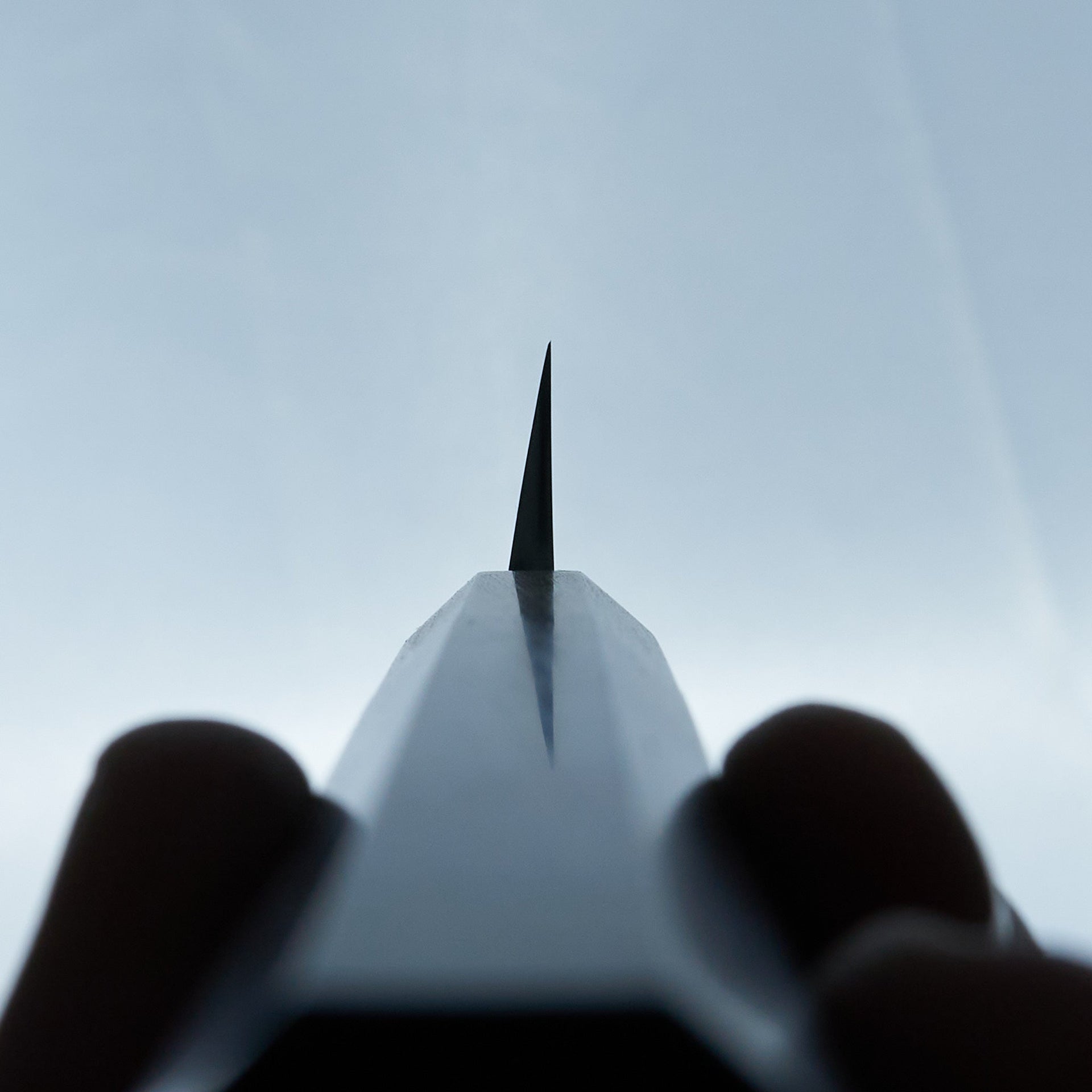 Hitohira Kikuchiyo Manzo Blue #2 Yanagiba 210mm Ebony Handle (Saya)-Knife-Hitohira-Carbon Knife Co