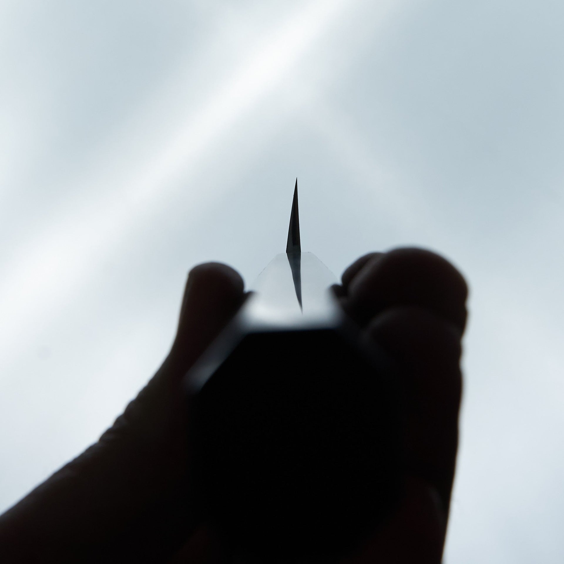 Hitohira Kikuchiyo Manzo Blue #2 Yanagiba 240mm Ebony Handle (Saya)-Knife-Hitohira-Carbon Knife Co