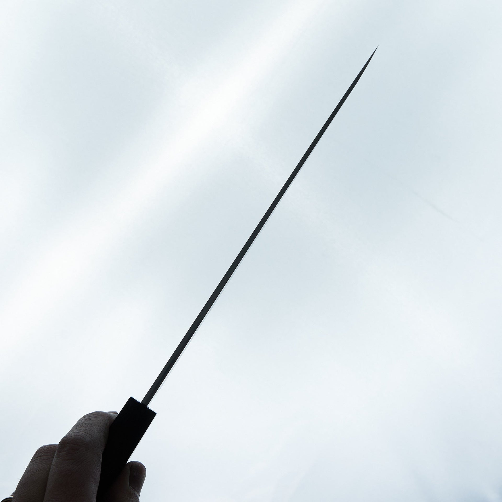 Hitohira Kikuchiyo Manzo Blue #2 Yanagiba 240mm Ebony Handle (Saya)-Knife-Hitohira-Carbon Knife Co