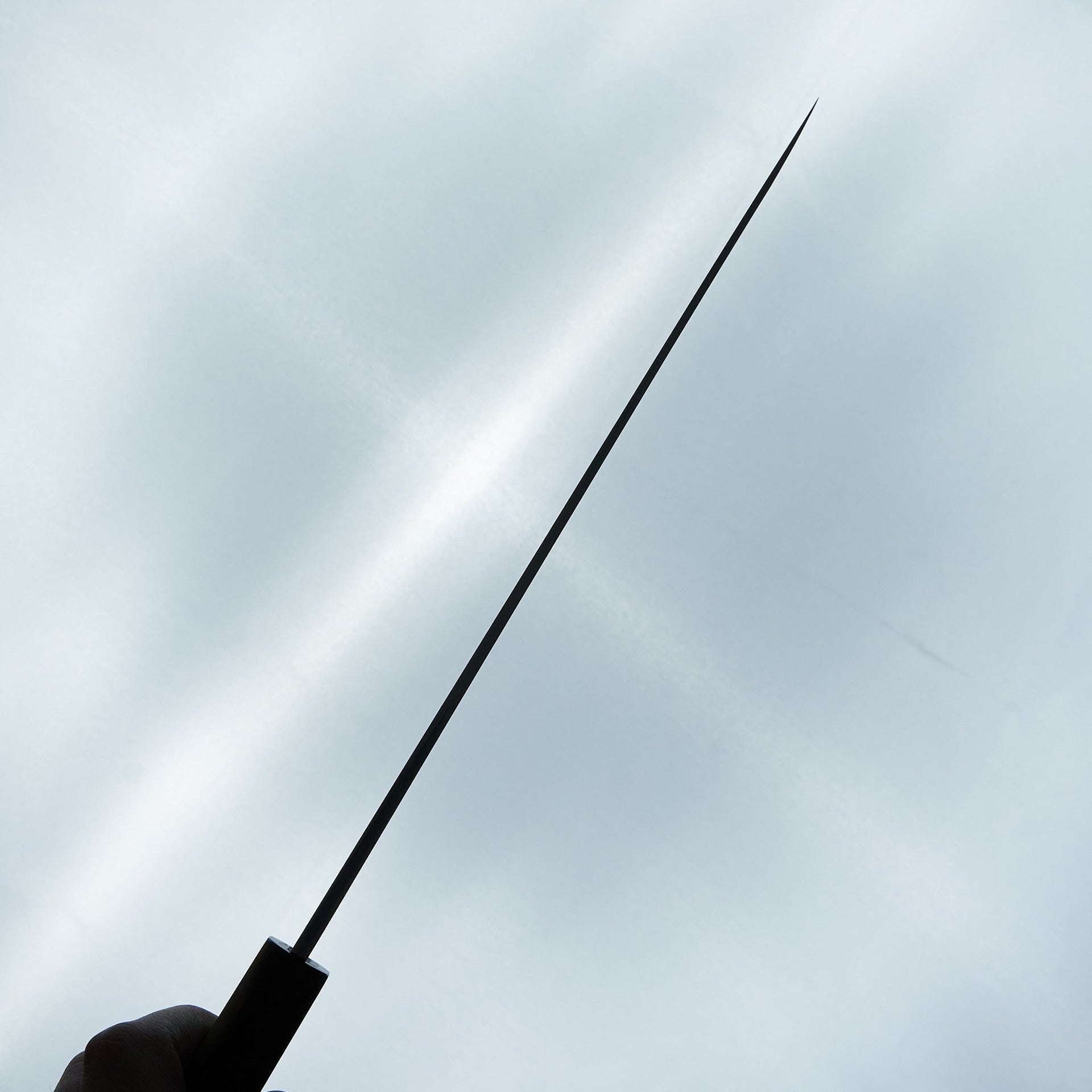 Hitohira Kikuchiyo Manzo Blue #2 Yanagiba 270mm Ebony Handle (Saya)-Knife-Hitohira-Carbon Knife Co