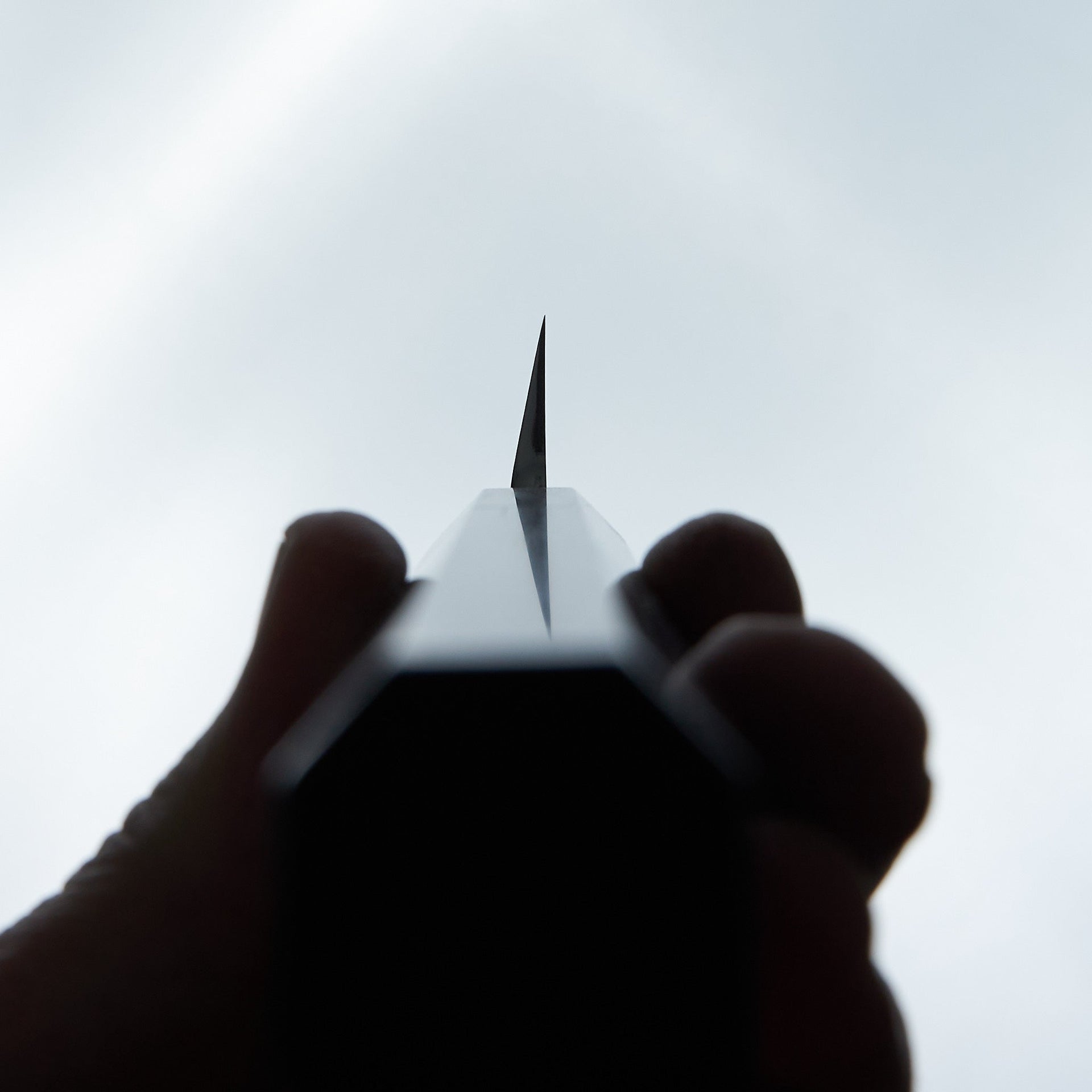 Hitohira Kikuchiyo Manzo Blue #2 Yanagiba 270mm Ebony Handle (Saya)-Knife-Hitohira-Carbon Knife Co