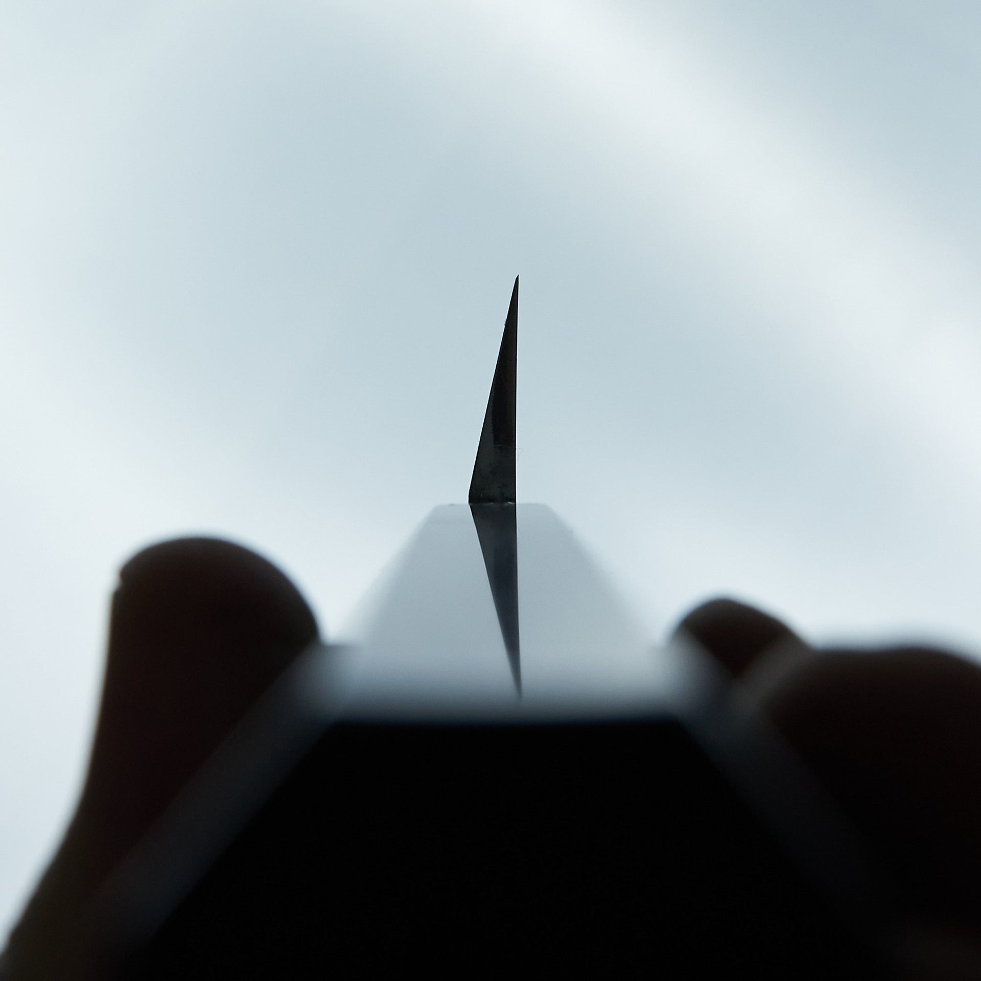 Hitohira Kikuchiyo Manzo Blue #2 Yanagiba 300mm Ebony Handle (Saya)-Knife-Hitohira-Carbon Knife Co