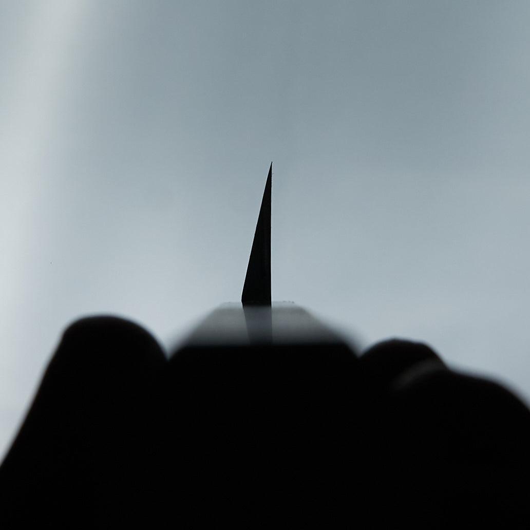 Hitohira Kikuchiyo Manzo Blue #2 Yanagiba 300mm Ho Wood Handle-Knife-Hitohira-Carbon Knife Co