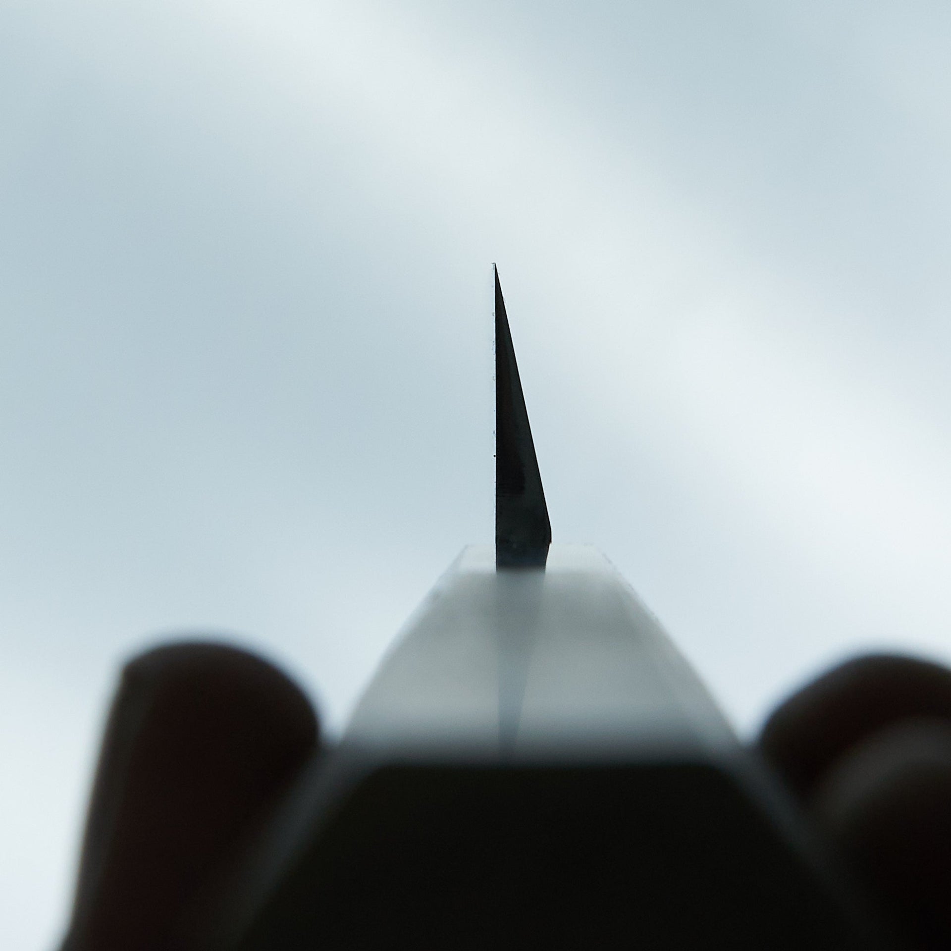 Hitohira Kikuchiyo Manzo White #3 Left-Handed Yanagiba 300mm Ho Wood Handle-Knife-Hitohira-Carbon Knife Co