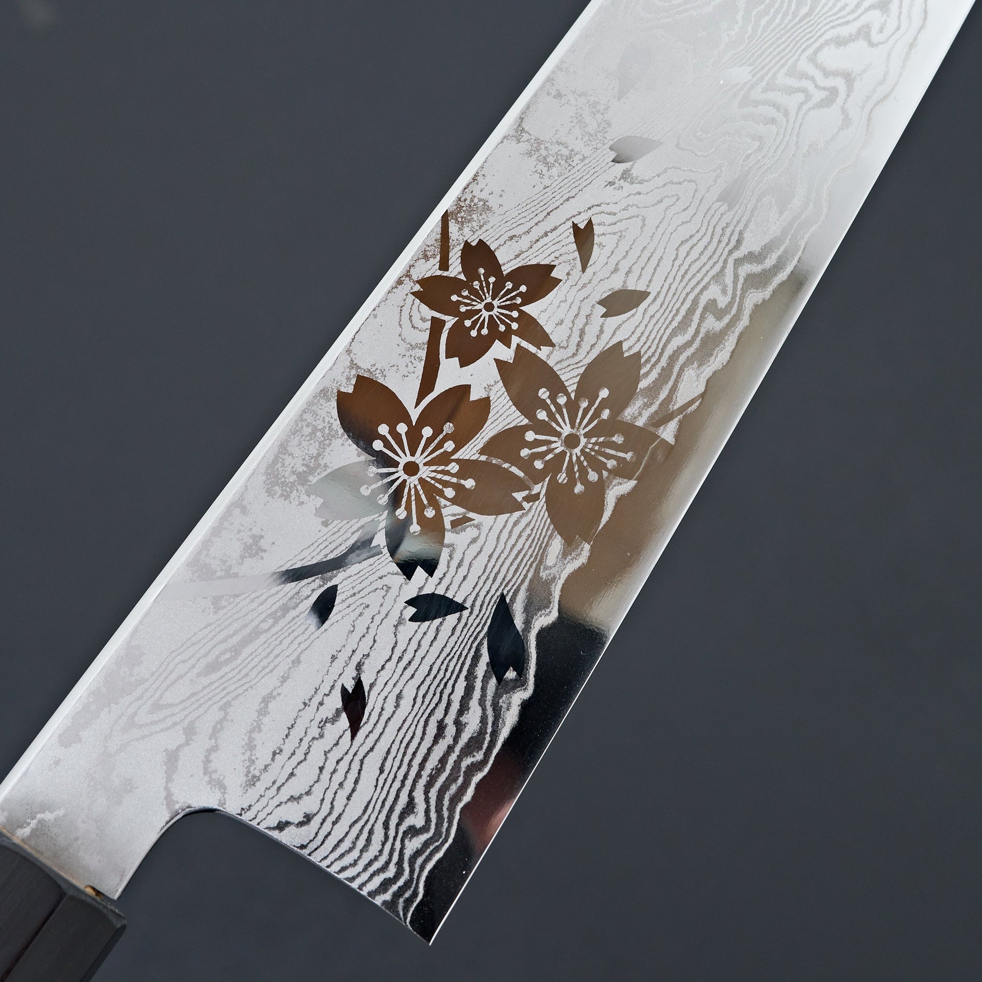 Hitohira Kikuchiyo Rou VG10 Sakura Damascus Gyuto 240mm Sakura Handle-Knife-Hitohira-Carbon Knife Co
