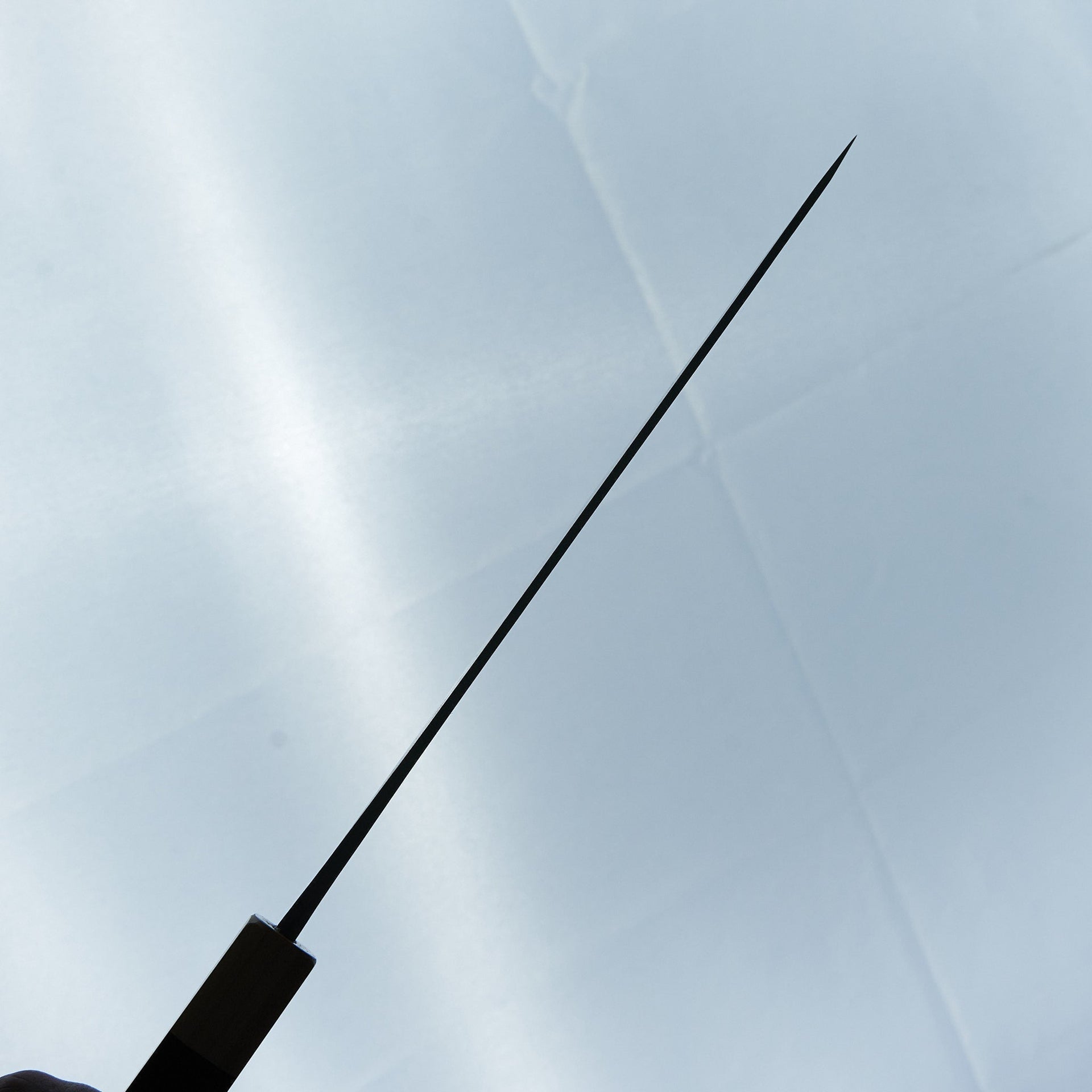 Hitohira TD Blue #2 Stainless Clad Kurouchi Gyuto 210mm Walnut Handle-Hitohira-Carbon Knife Co