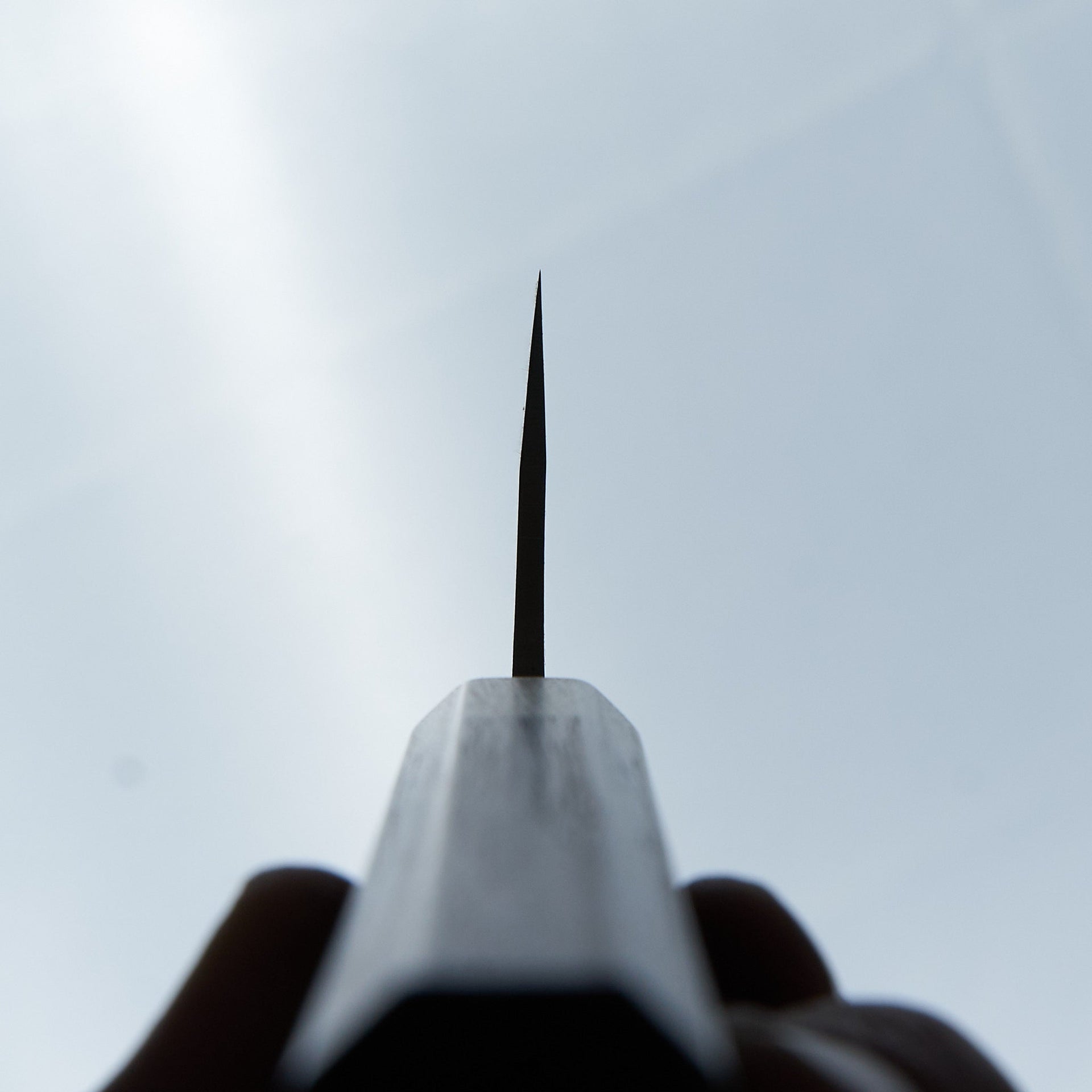 Hitohira TD Blue #2 Stainless Clad Kurouchi Gyuto 210mm Walnut Handle-Hitohira-Carbon Knife Co