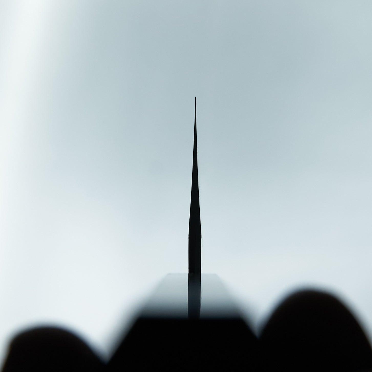 Hitohira Tanaka Kyuzo Blue #1 Migaki Bunka Taihei Ebony Handle-Hitohira-Carbon Knife Co