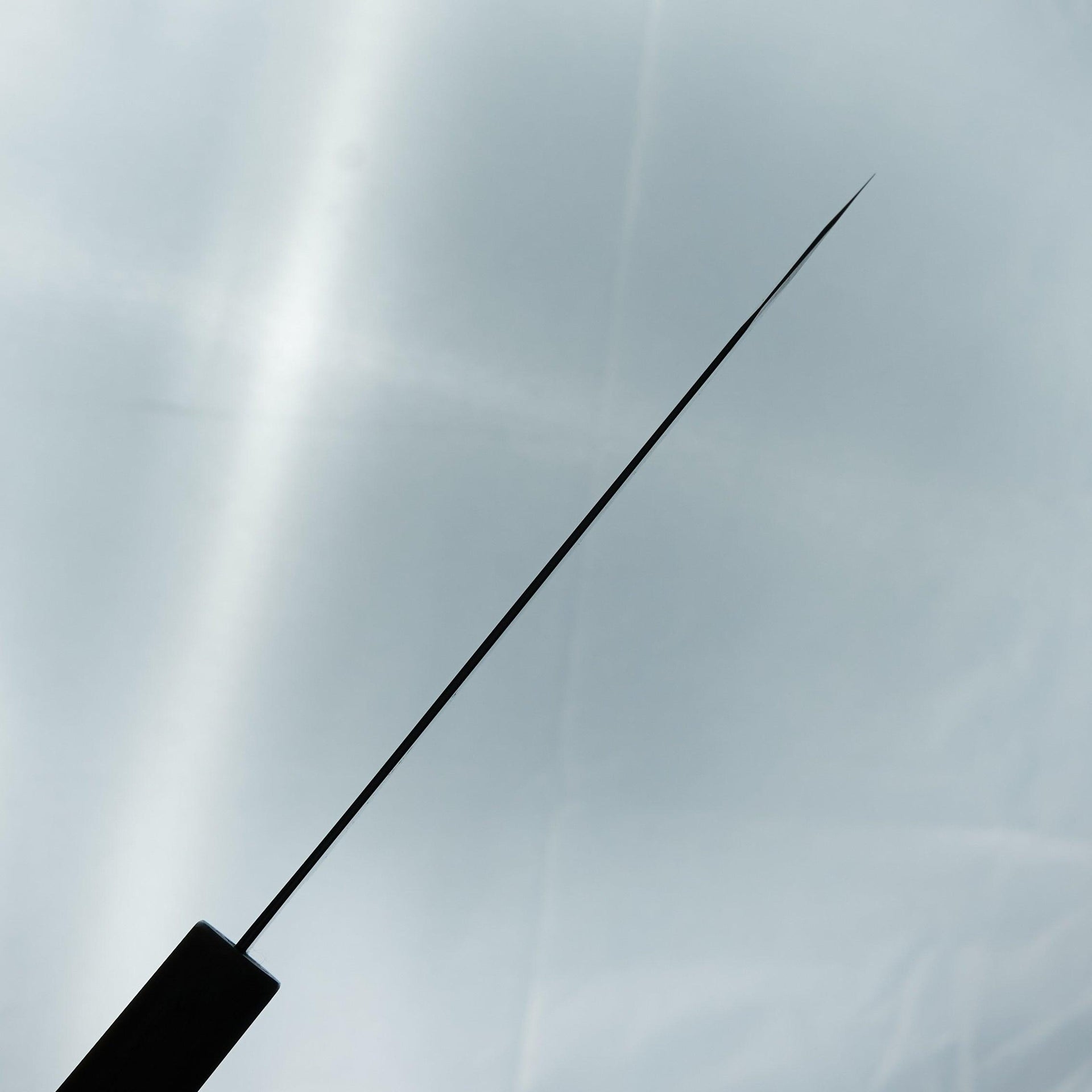 Hitohira Tanaka Kyuzo Blue #1 Migaki Bunka Taihei Ebony Handle-Hitohira-Carbon Knife Co