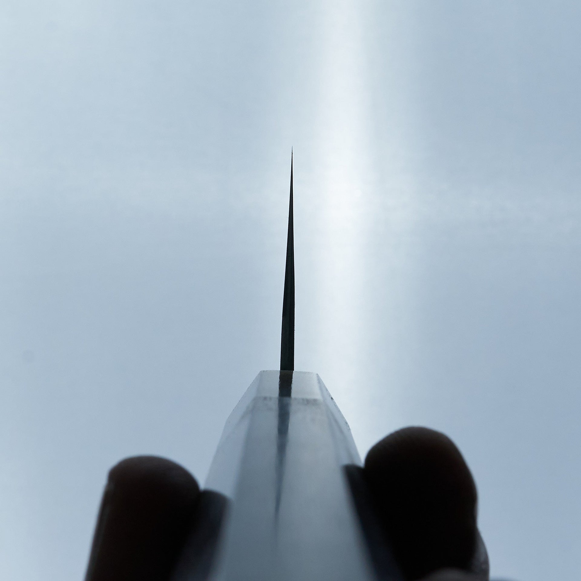 Hitohira Tanaka Kyuzo Blue #1 Migaki Bunka Taihei Makassar Ebony Handle-Hitohira-Carbon Knife Co