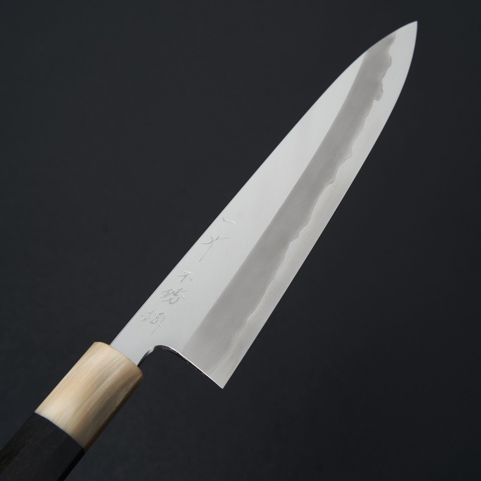 Hitohira Tanaka Kyuzo Blue #1 Stainless Clad Gyuto 210mm Taihei Ebony Handle-Knife-Hitohira-Carbon Knife Co