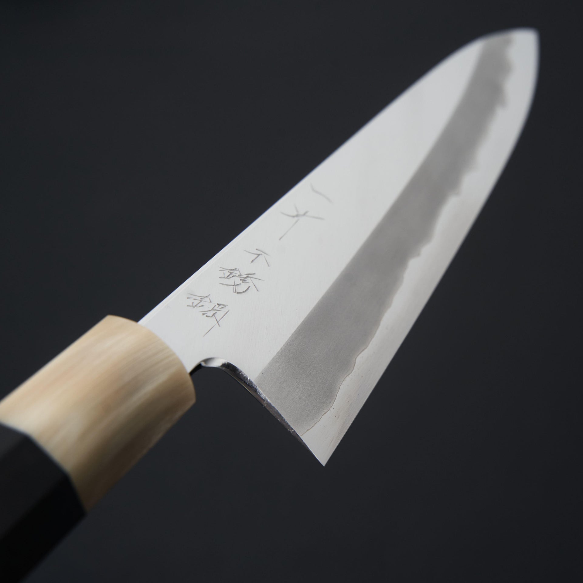 Hitohira Tanaka Kyuzo Blue #1 Stainless Clad Gyuto 210mm Taihei Ebony Handle-Knife-Hitohira-Carbon Knife Co
