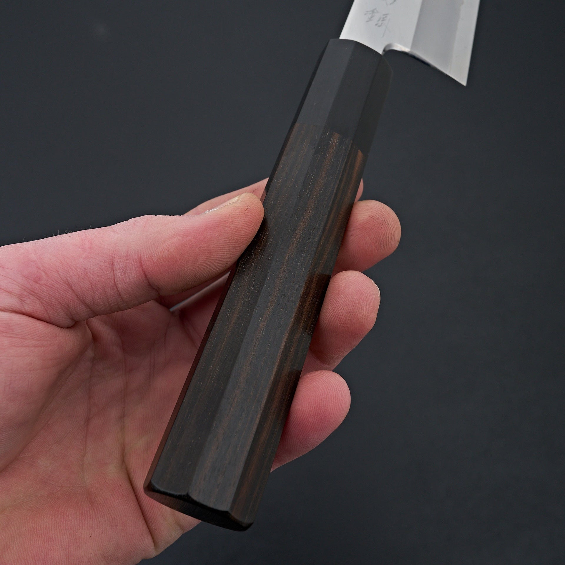 Hitohira Tanaka Kyuzo Blue #1 Stainless Clad Gyuto 210mm Taihei Makassar Ebony Handle-Knife-Hitohira-Carbon Knife Co