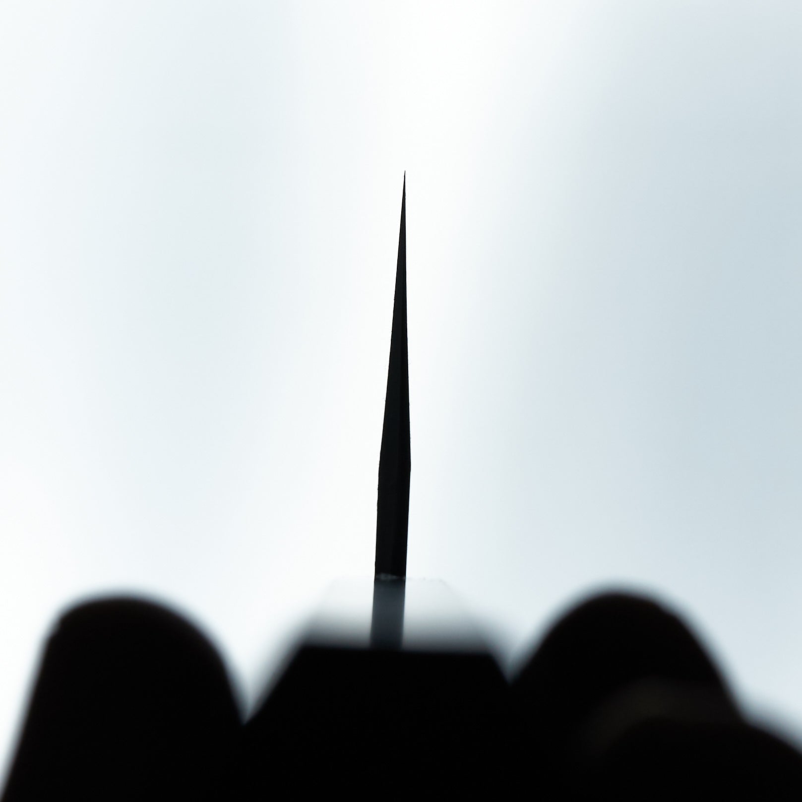 Hitohira Tanaka Kyuzo Blue #1 Stainless Clad Gyuto 240mm Ziricote Handle-Knife-Hitohira-Carbon Knife Co