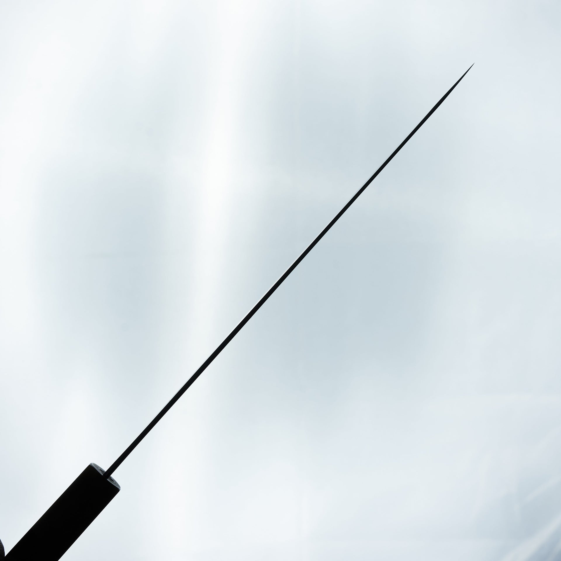 Hitohira Tanaka Kyuzo Blue #1 Stainless Clad Gyuto 240mm Ziricote Handle-Knife-Hitohira-Carbon Knife Co