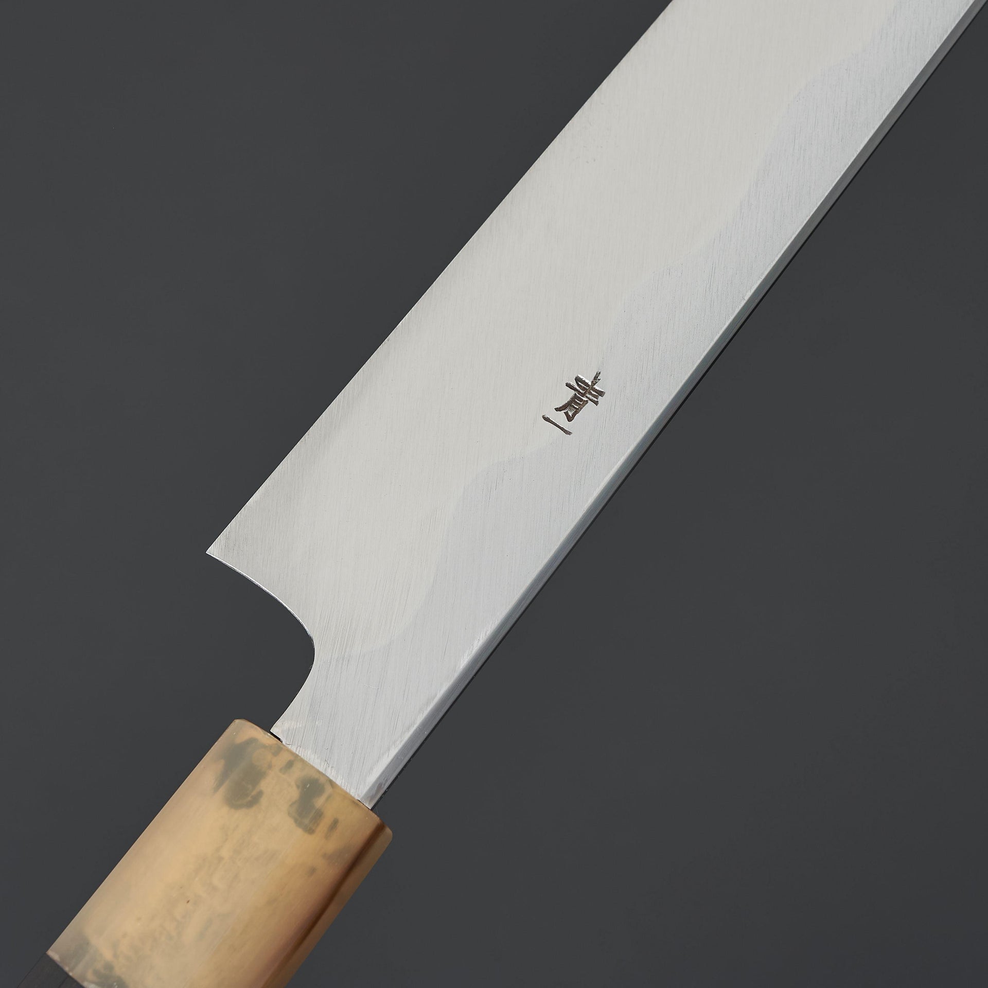 Hitohira Tanaka Mosuke Blue #1 Kiritsuke Yanagiba 300mm Ebony Handle-Knife-Hitohira-Carbon Knife Co