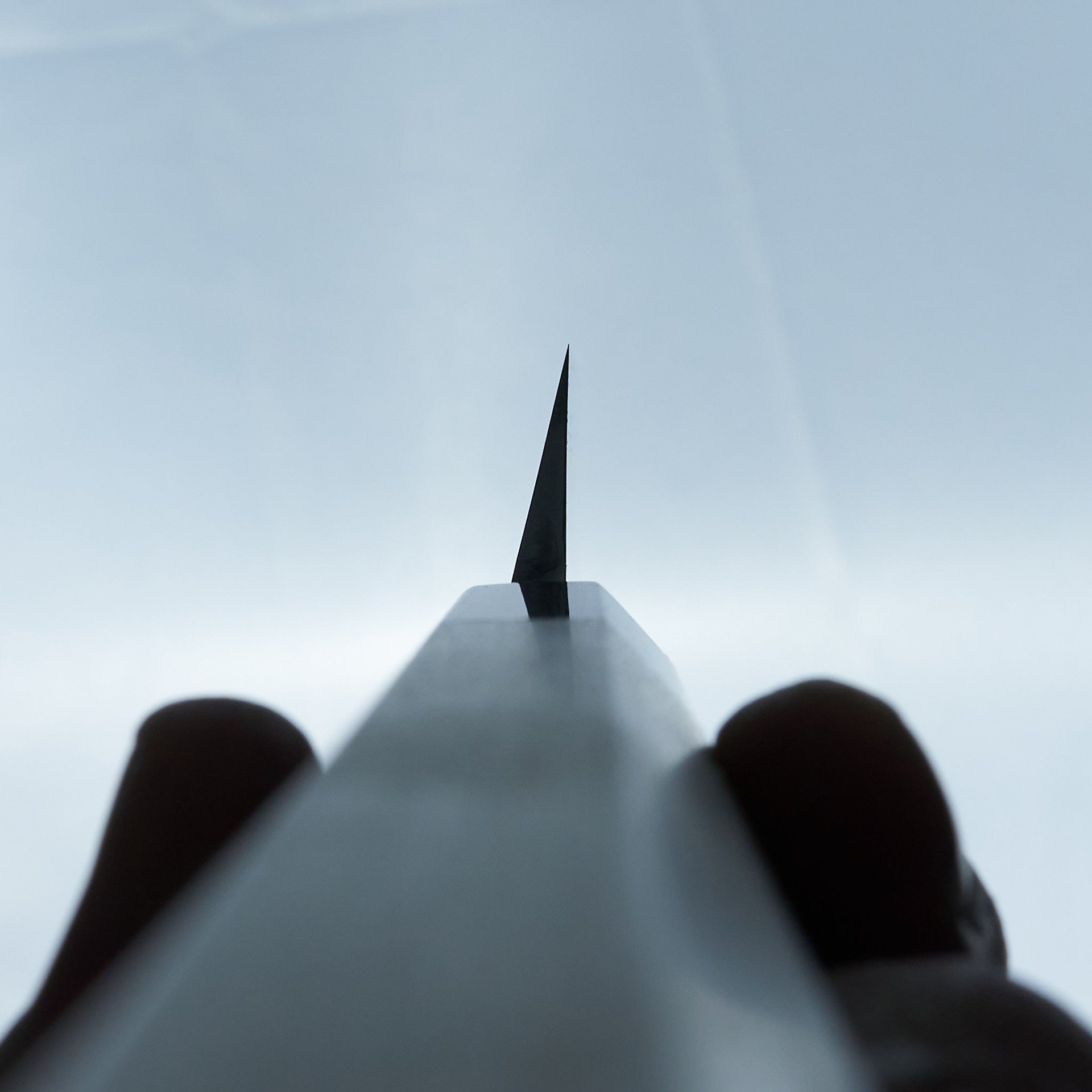 Hitohira Tanaka Mosuke Blue #1 Yanagiba 330mm Ho Wood Handle (Saya)-Knife-Hitohira-Carbon Knife Co